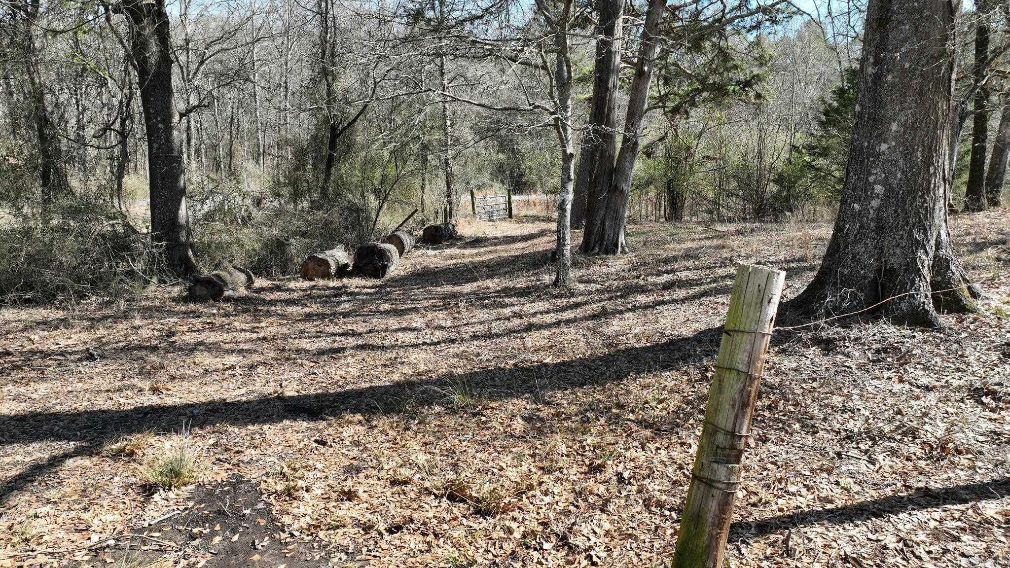 242 Polk Road 46  Mena, AR