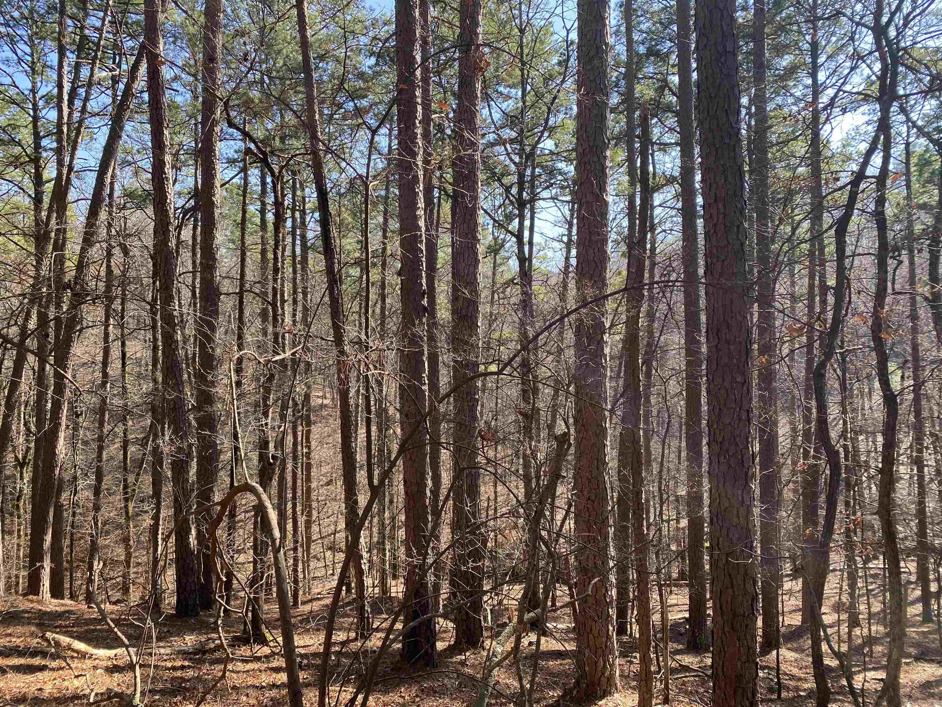 16 Hillside Lot 89 Mount Ida, AR