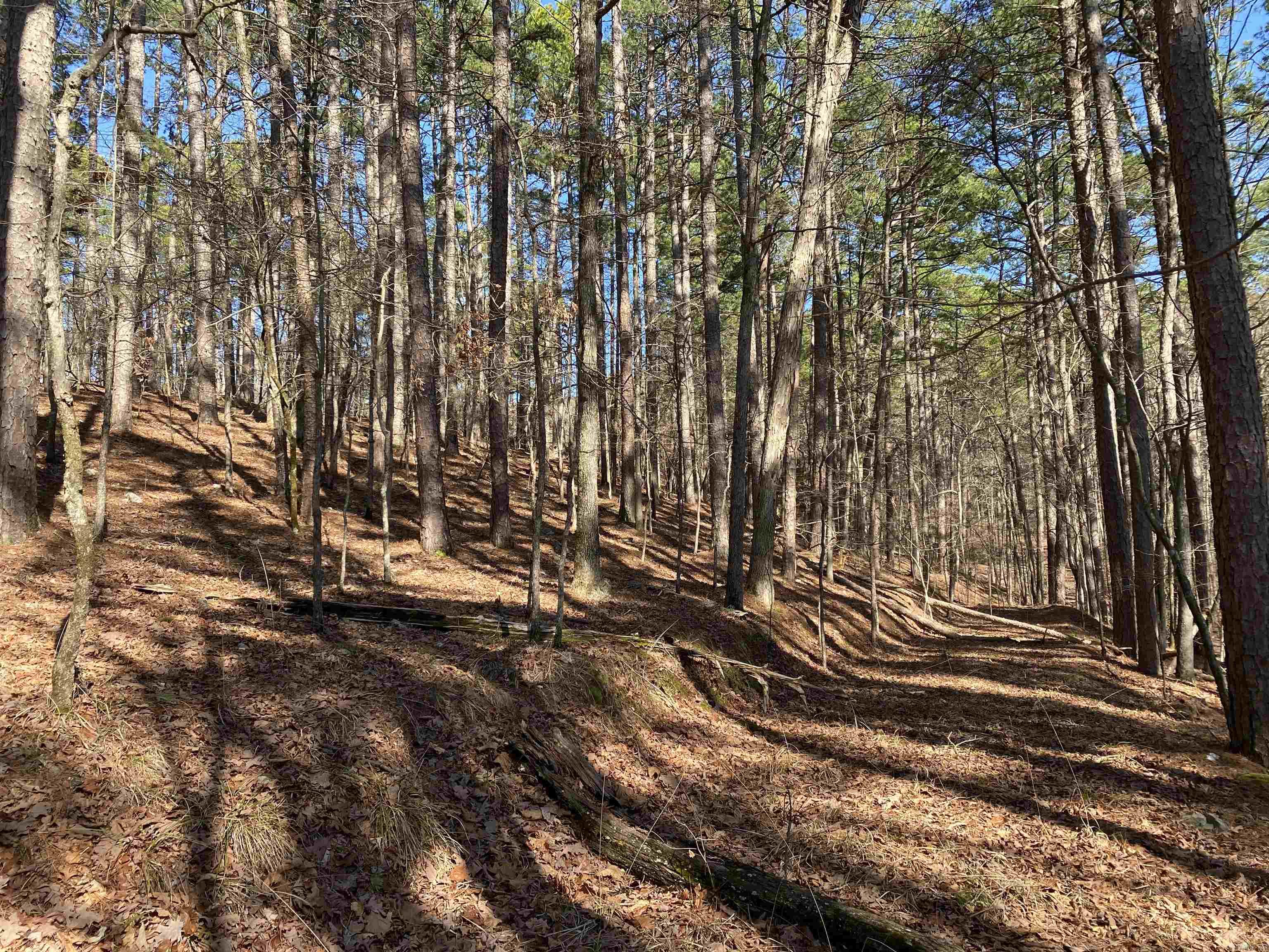 16 Hillside Lot 89 Mount Ida, AR