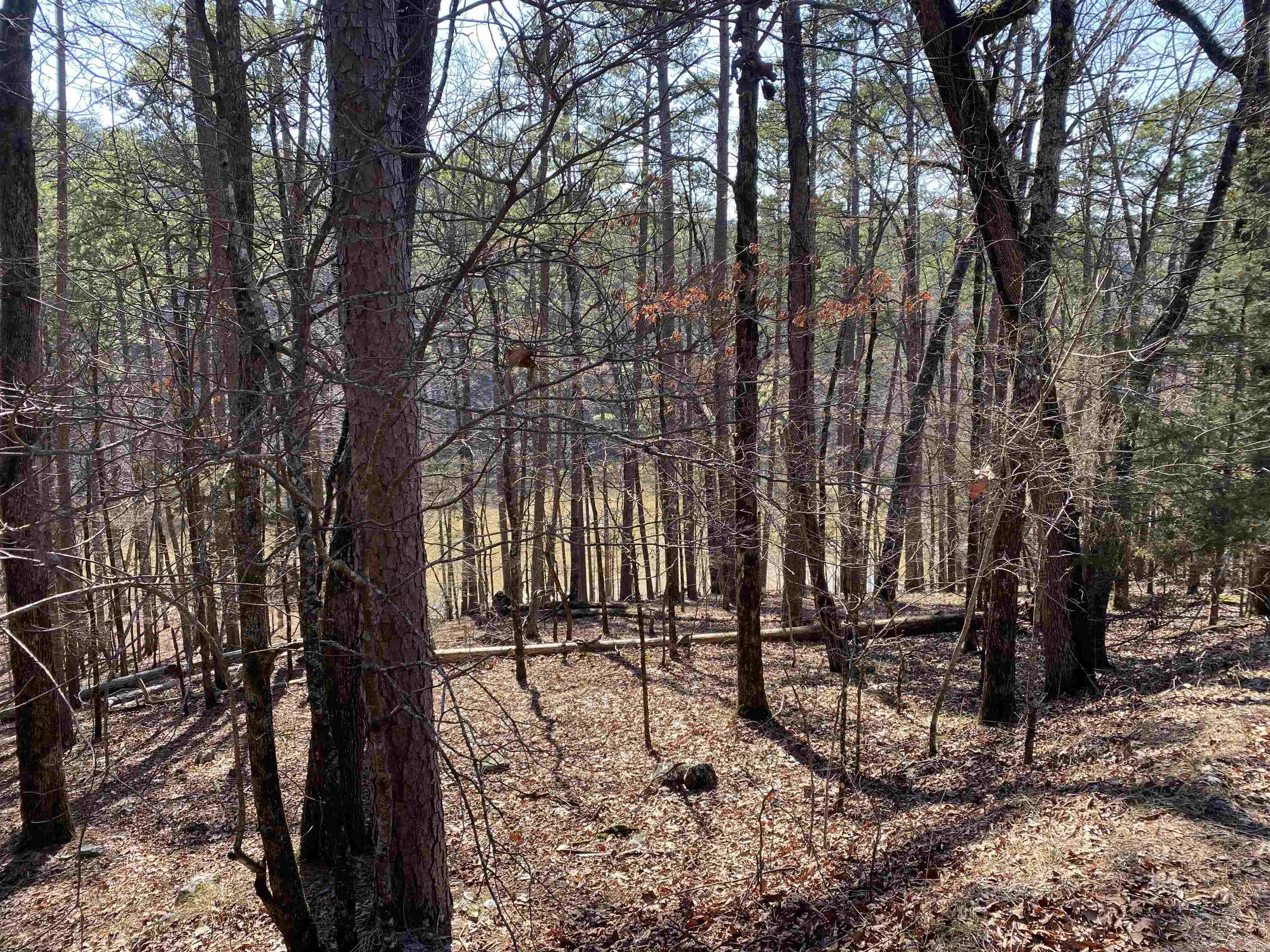 17 Southridge  Mount Ida, AR