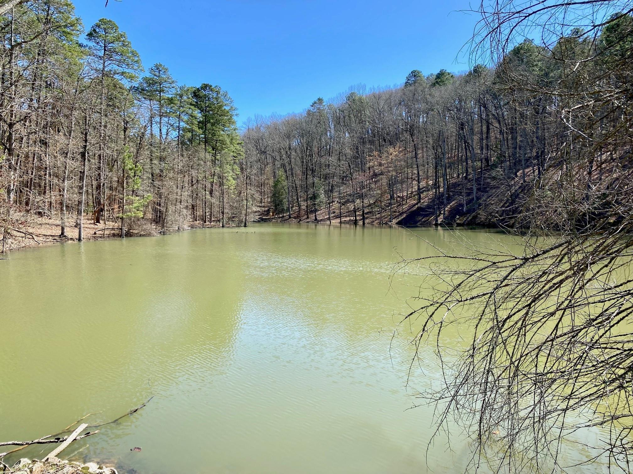 17 Southridge  Mount Ida, AR