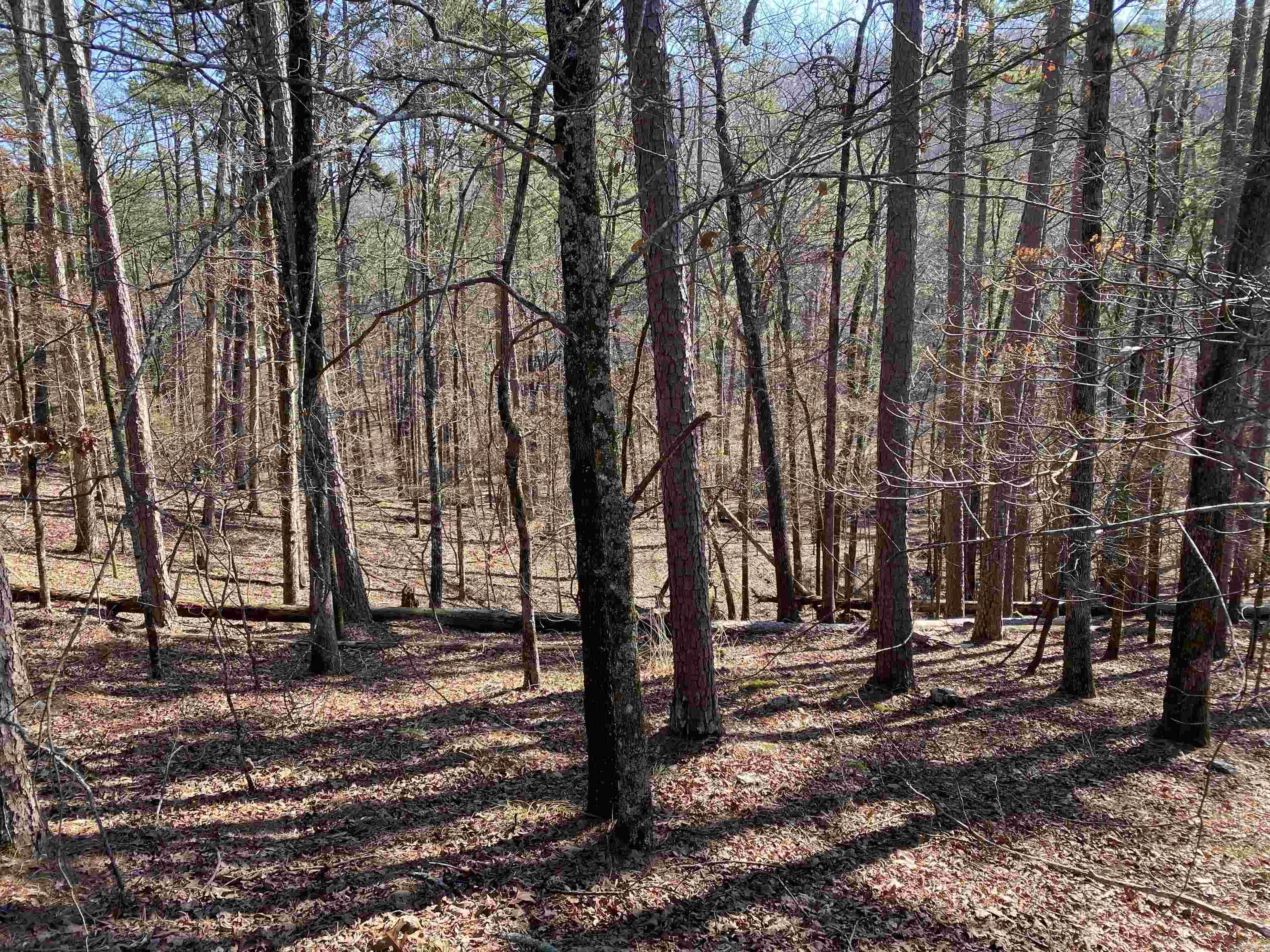 17 Southridge  Mount Ida, AR