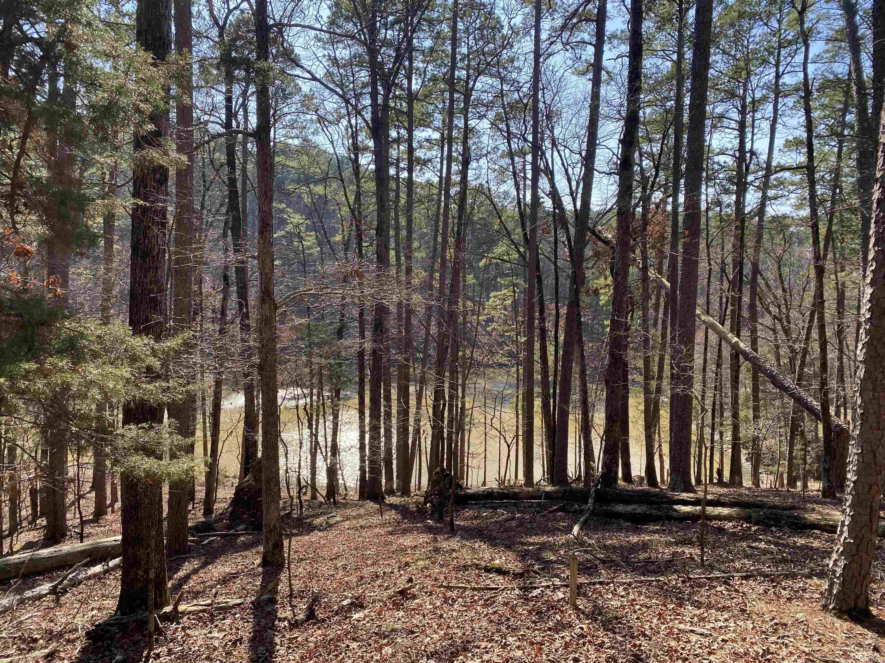 17 Southridge  Mount Ida, AR