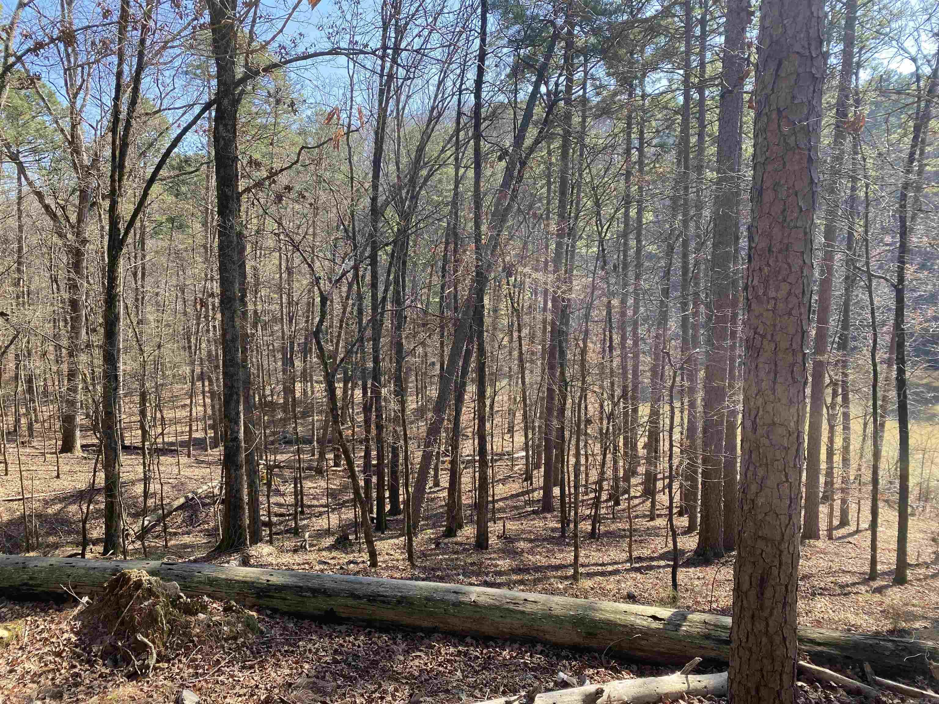 17 Southridge  Mount Ida, AR