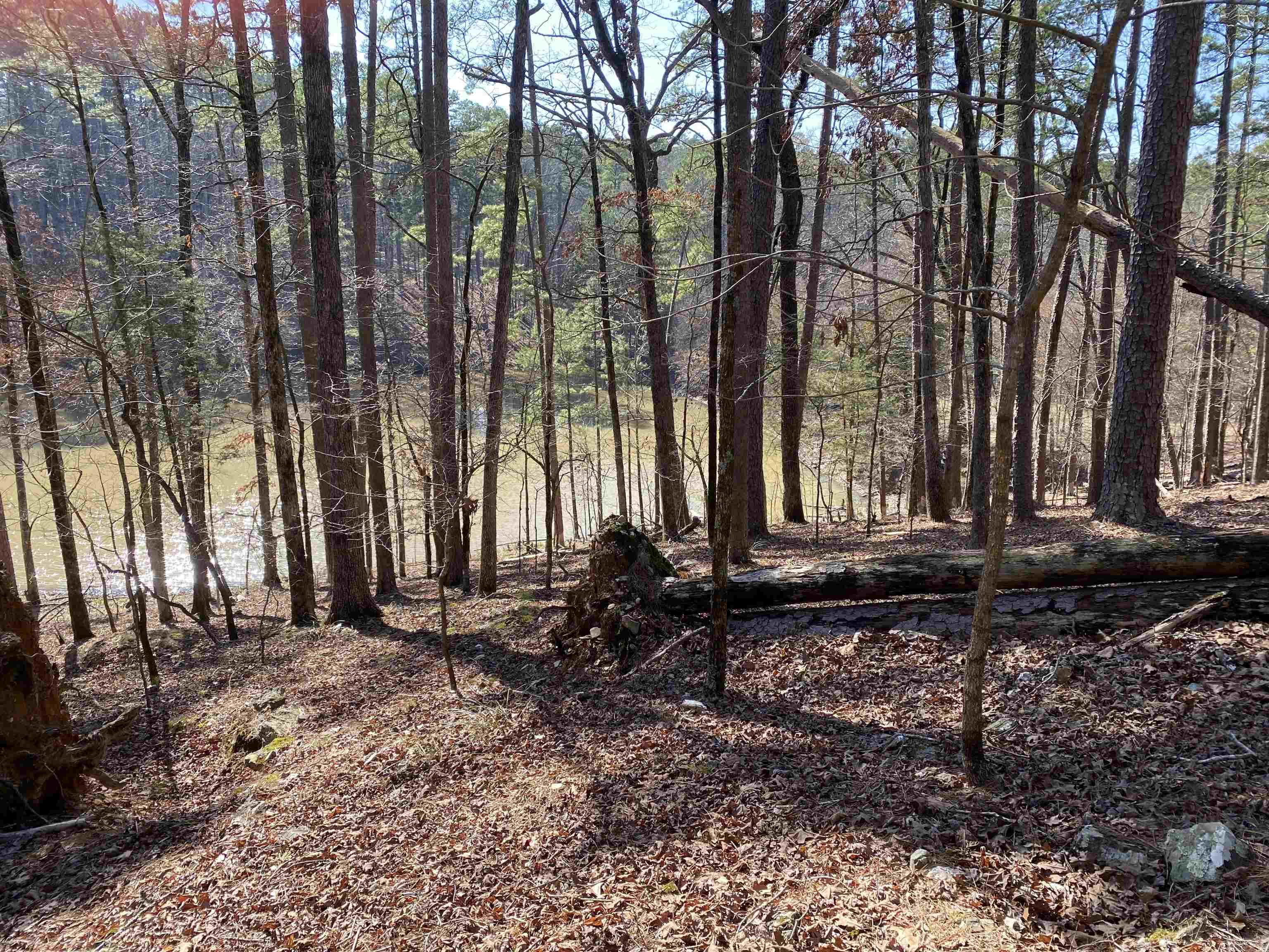 17 Southridge  Mount Ida, AR