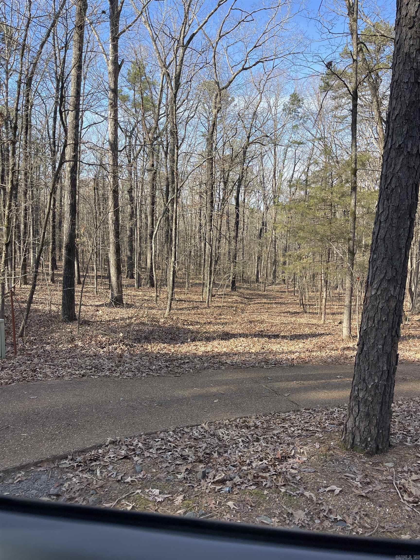 Lot 328 Danube Drasco, AR 72530