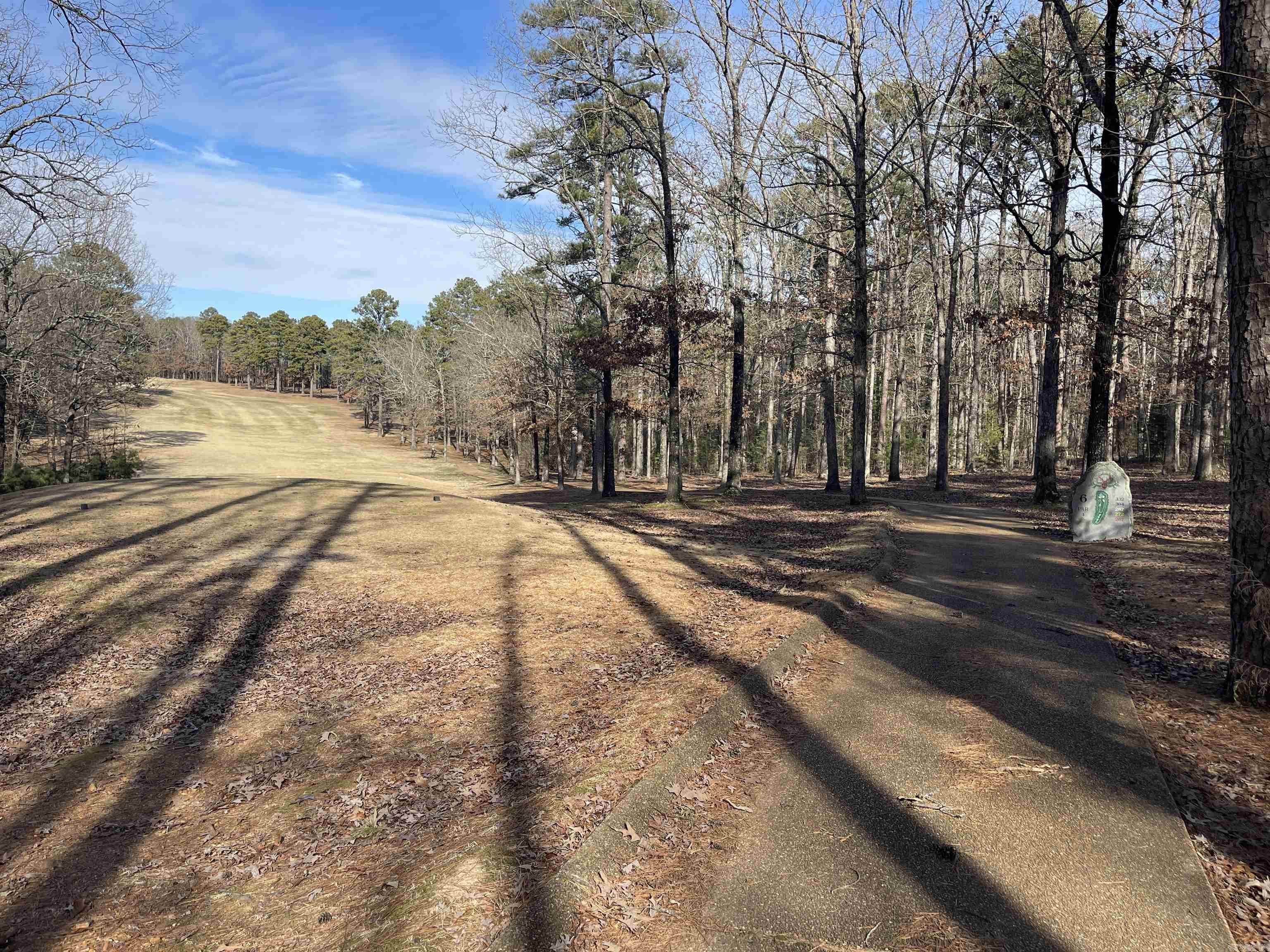 Lot 329 Danube Drasco, AR 72530
