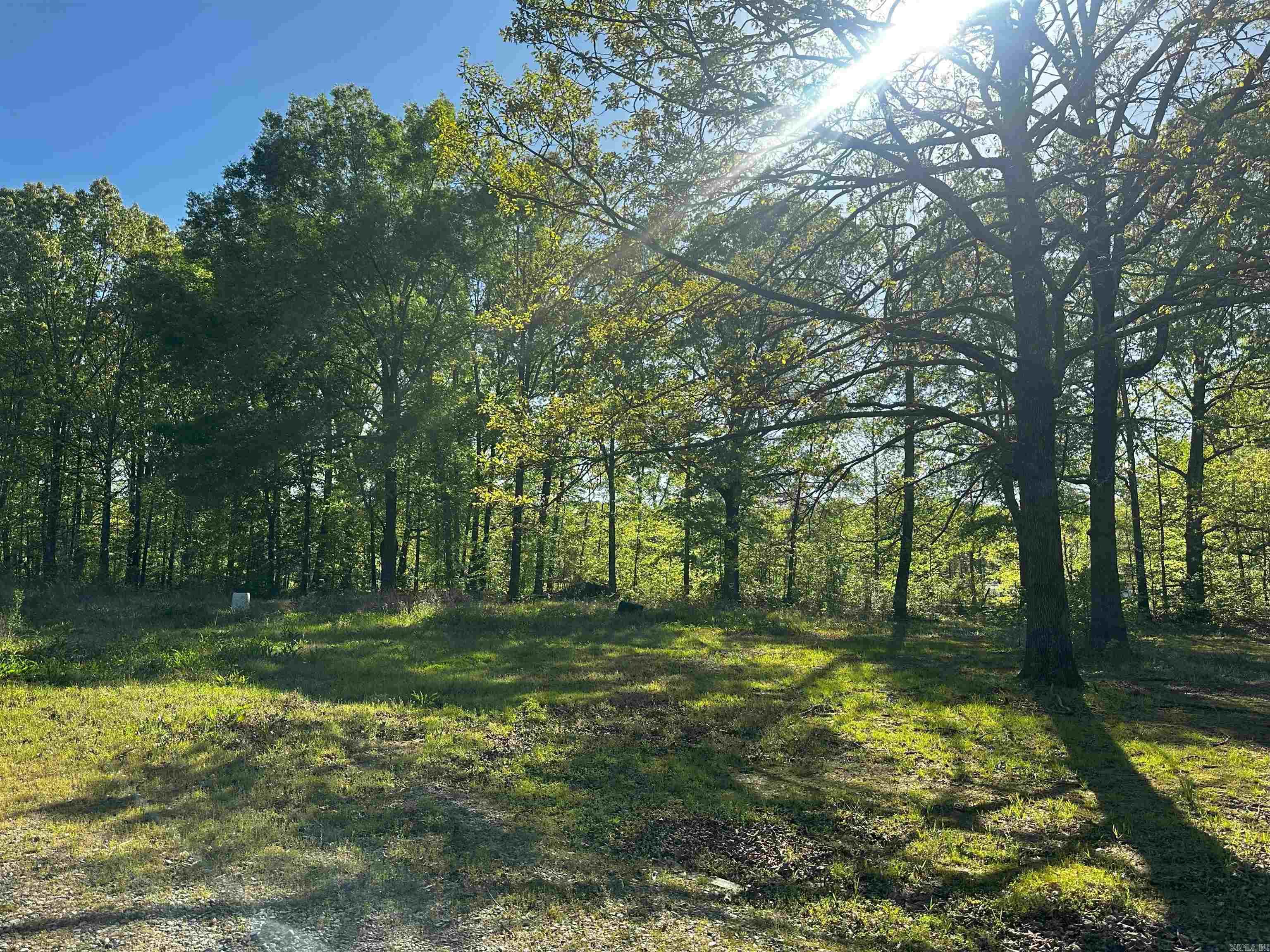 419 Robert Young  Ward, AR