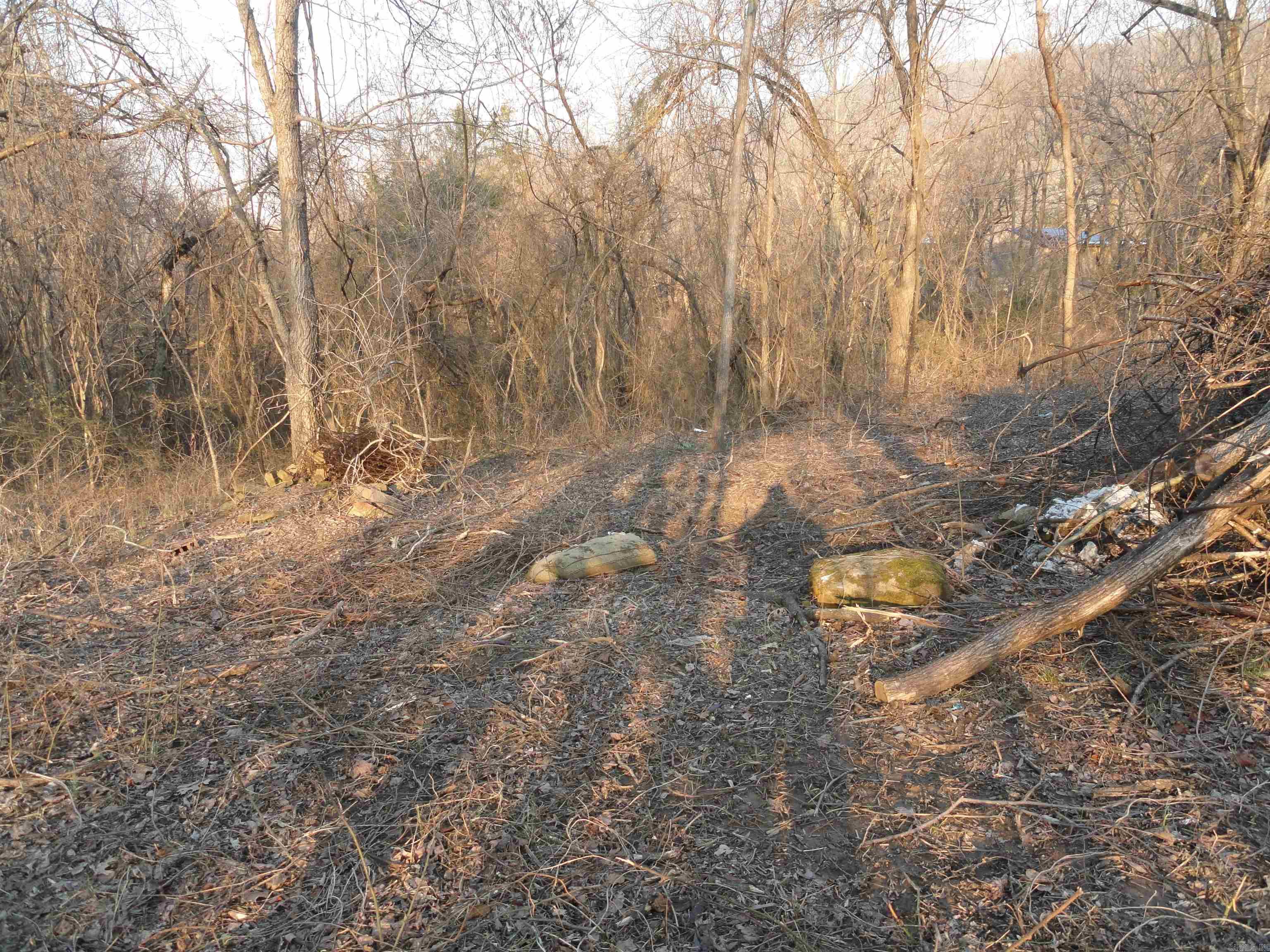 705 E Main  Marshall, AR