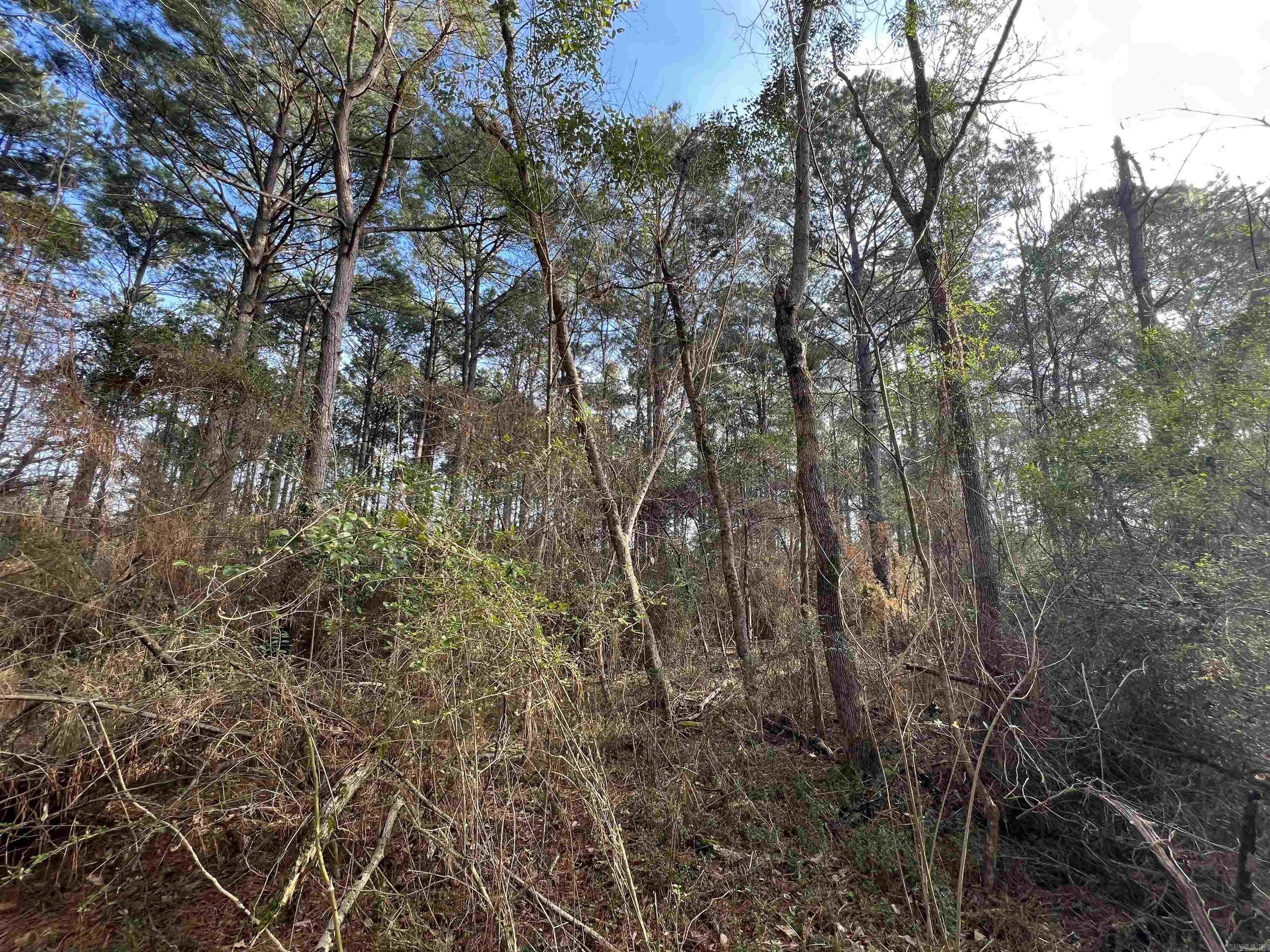 000 W University  Magnolia, AR