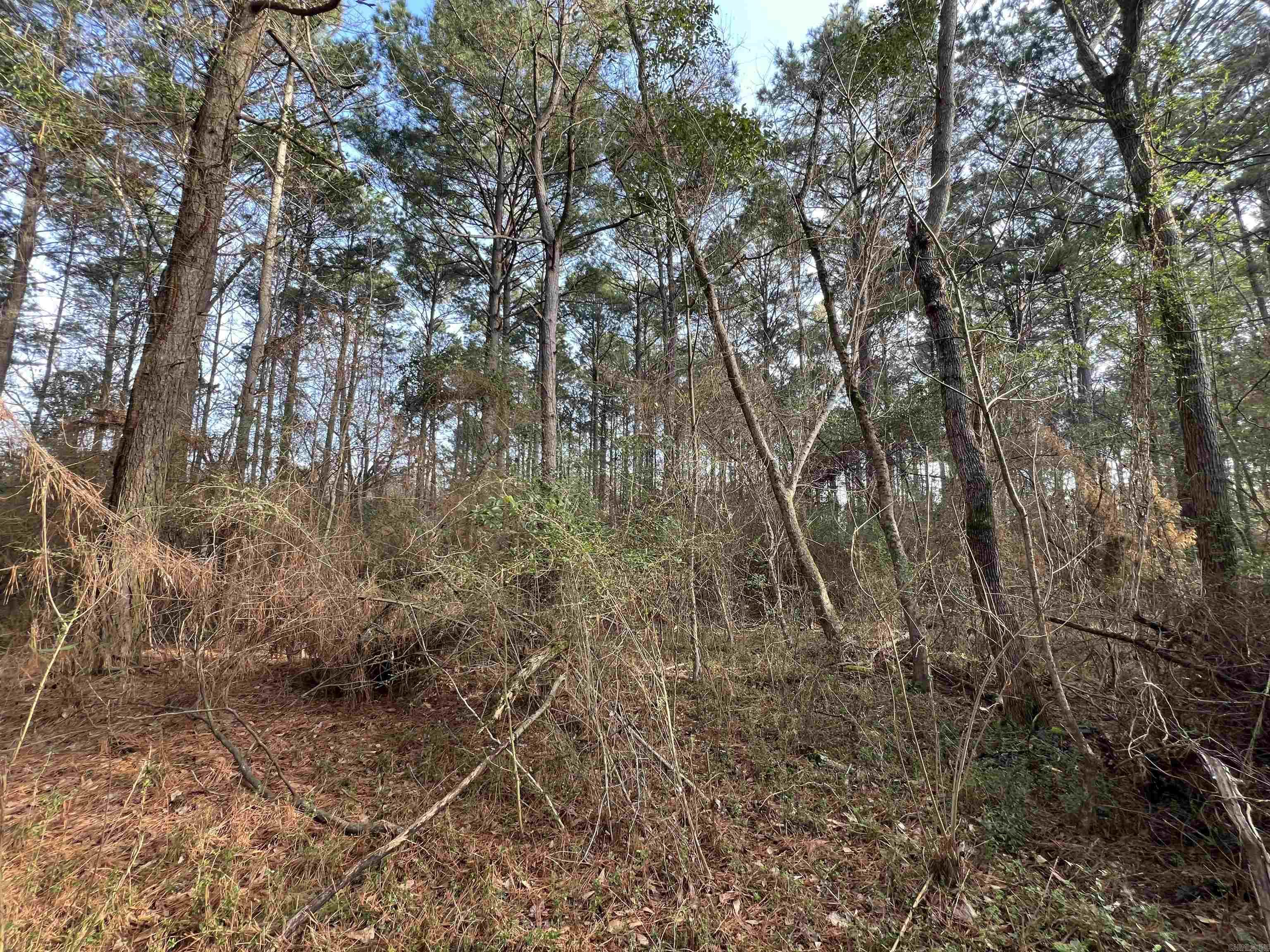 000 W University  Magnolia, AR