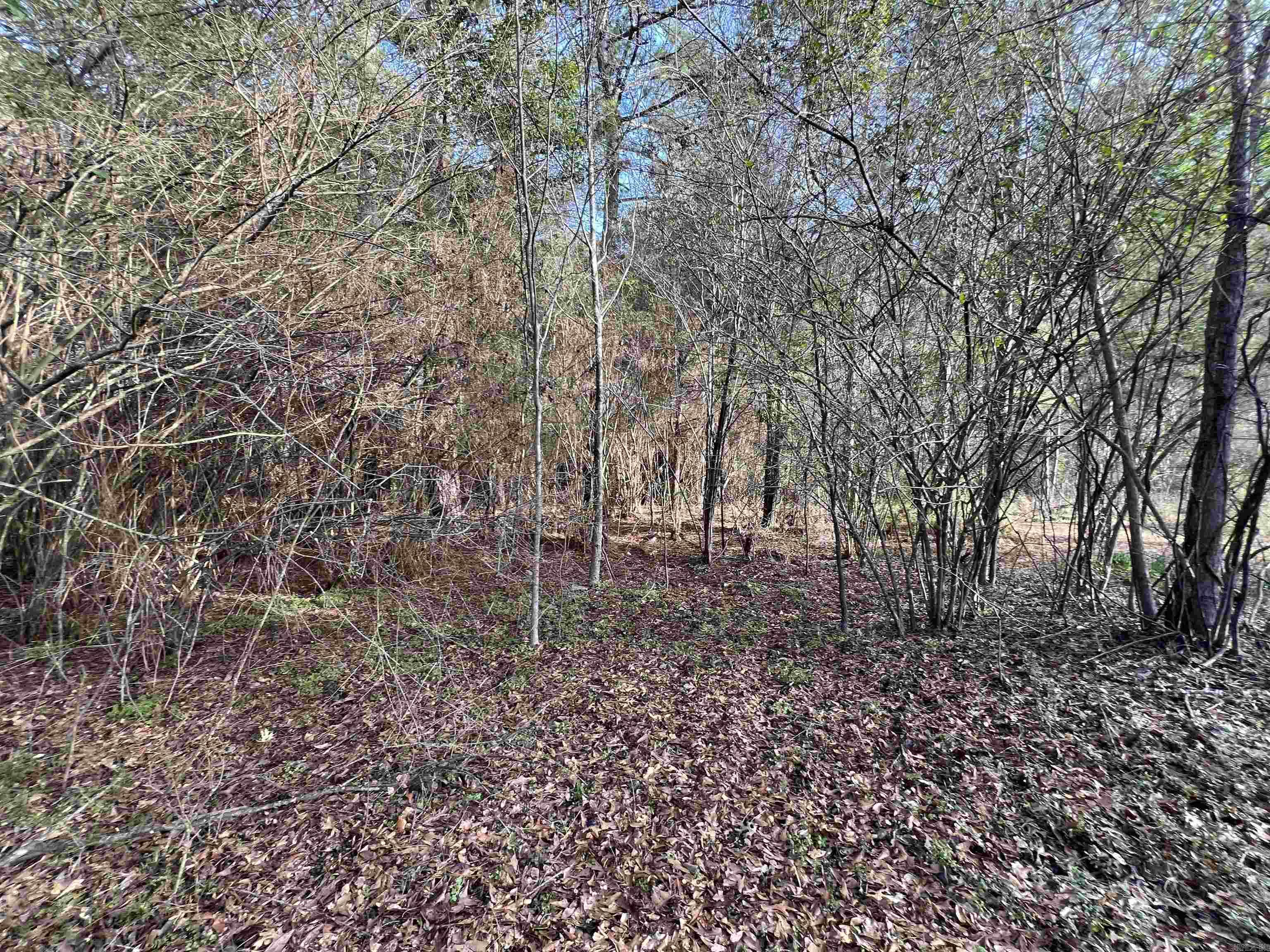 000 W University  Magnolia, AR