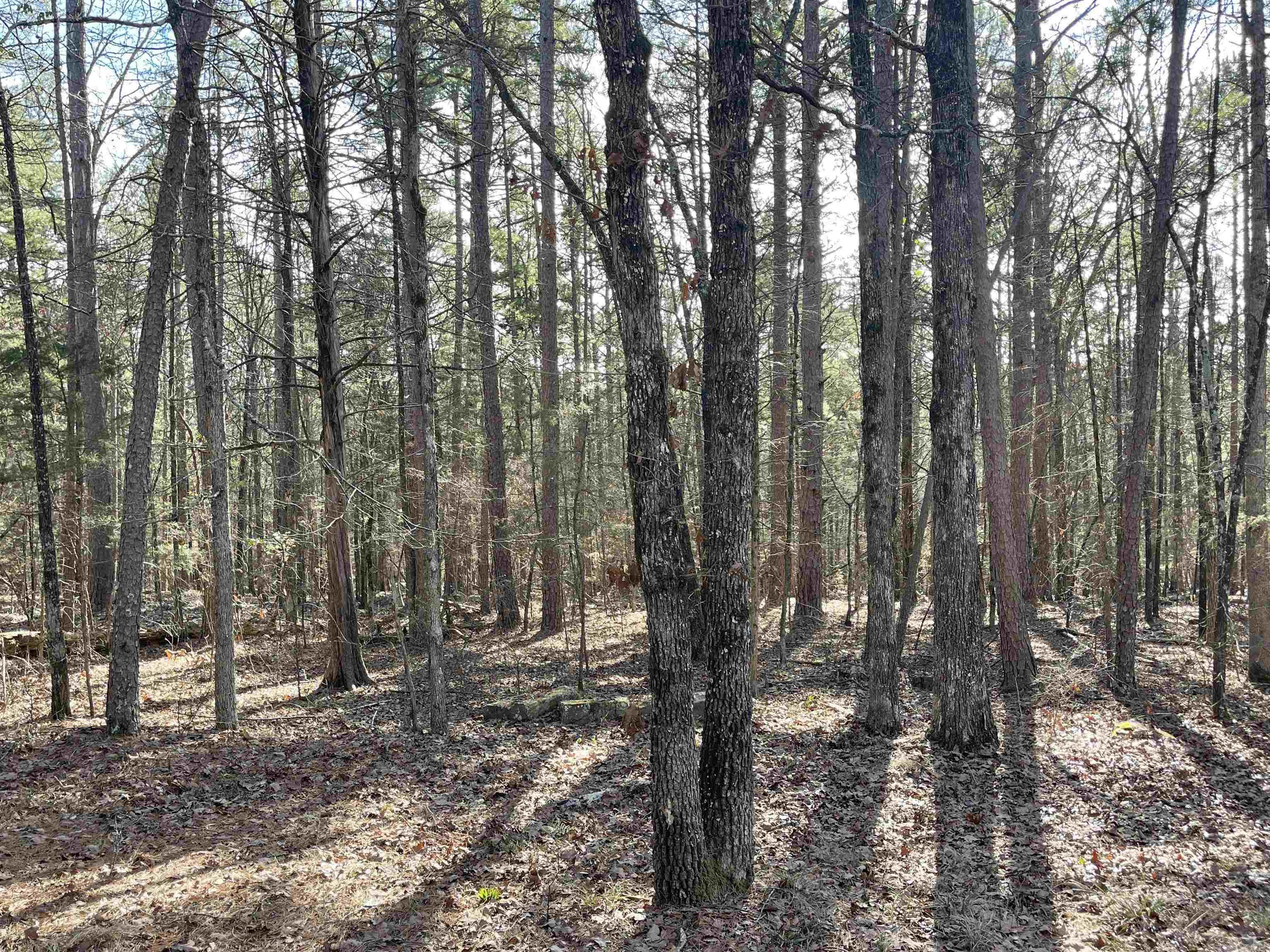Lot 467 Hersfeld Rd. Drasco, AR 72530