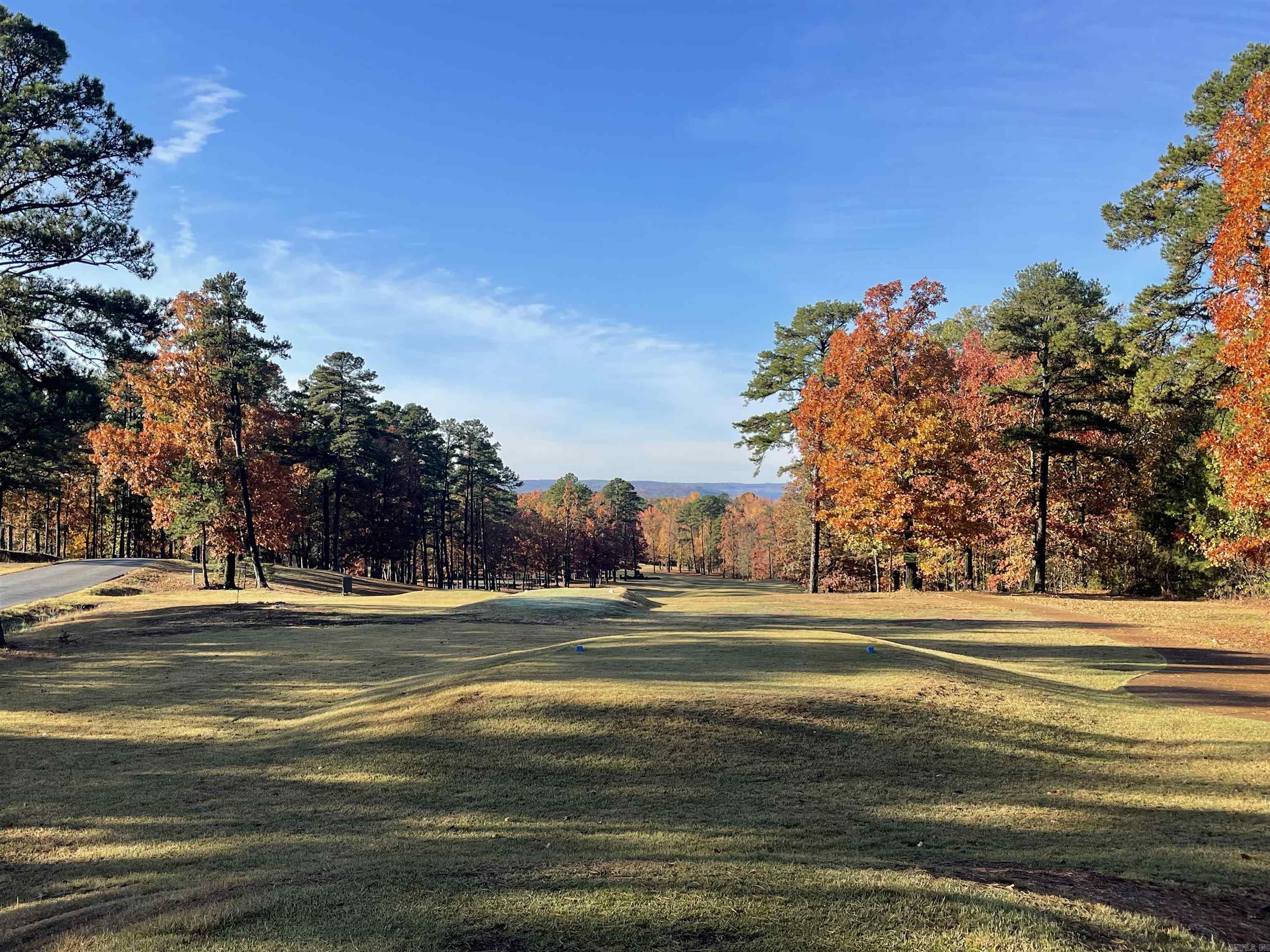 Lot 491 Hersfeld Rd. Drasco, AR 72530