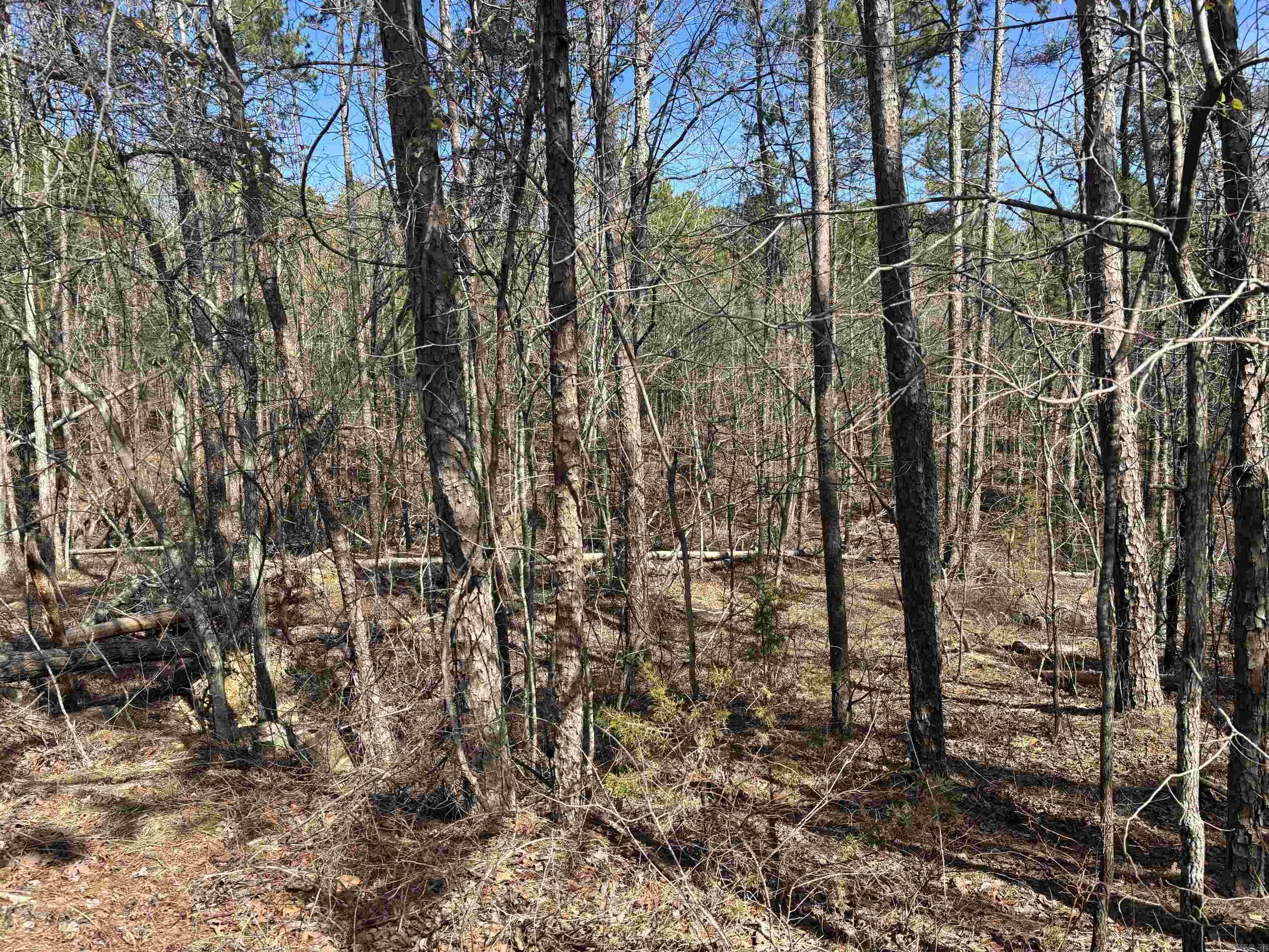 13 MURILLO CR  Hot Springs Village, AR
