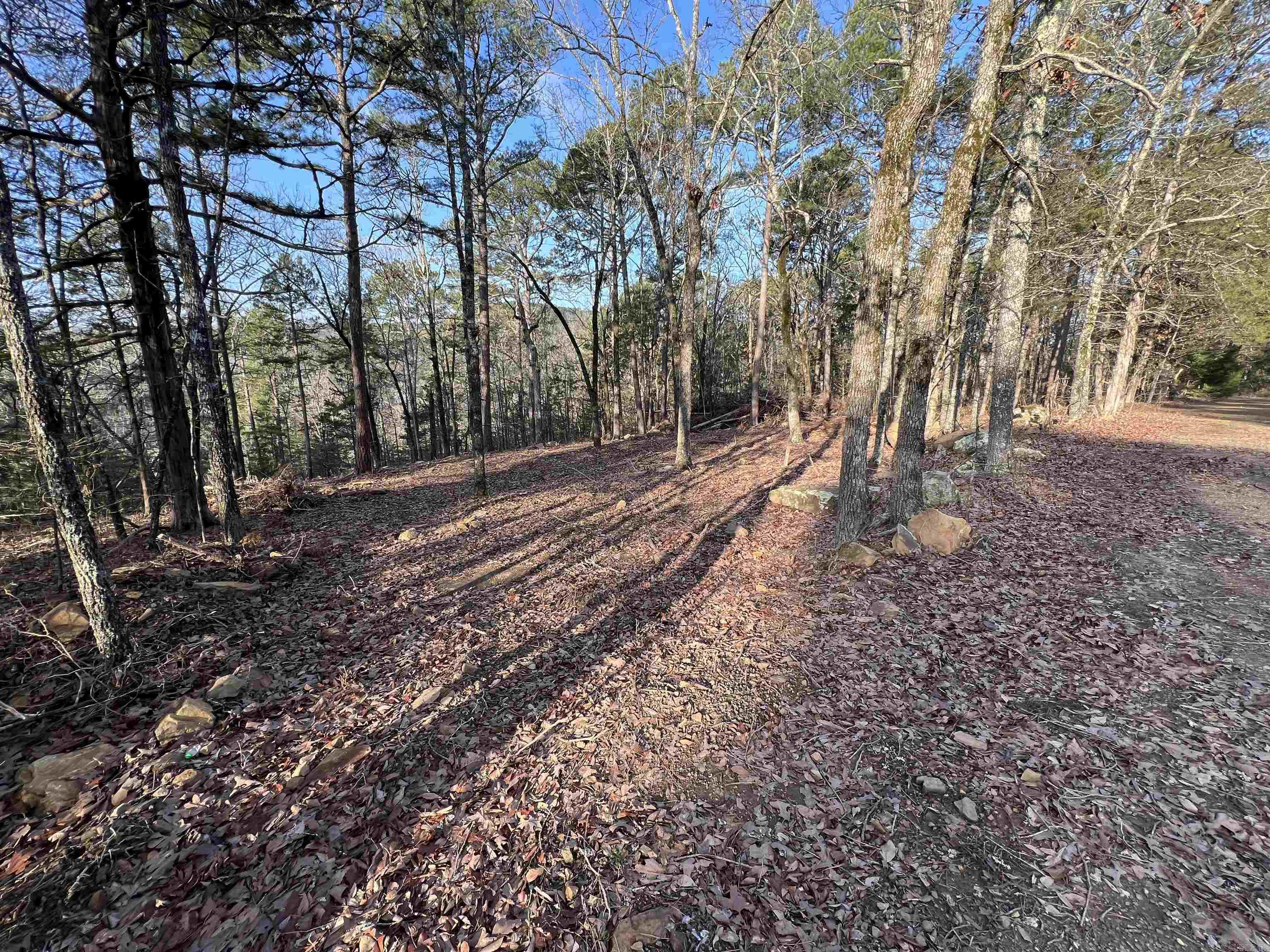 128 Lynn Creek Drive  Fairfield Bay, AR