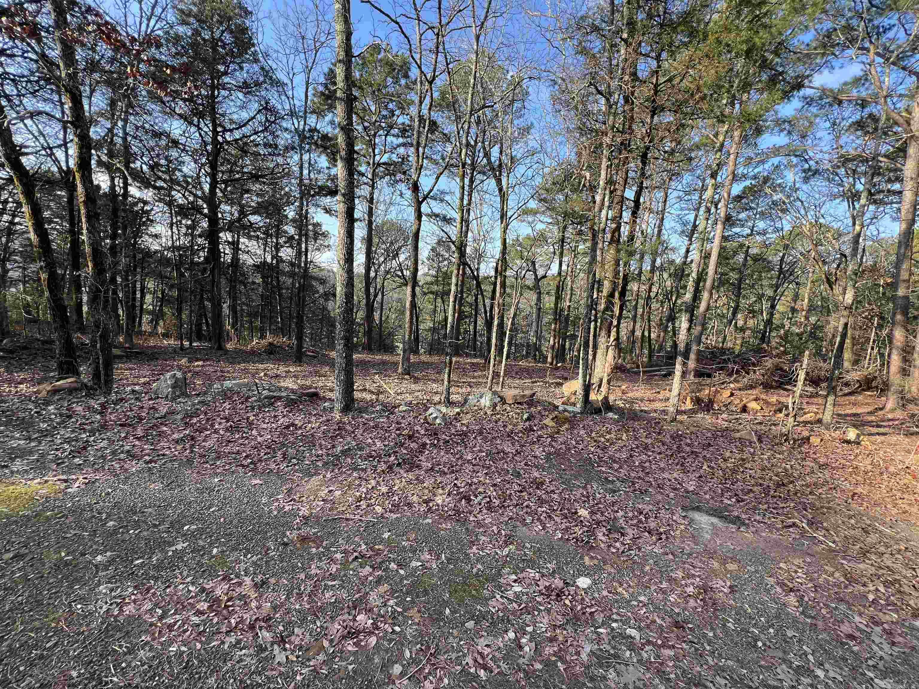 128 Lynn Creek Drive  Fairfield Bay, AR