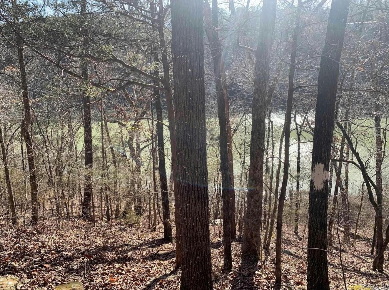 128 Lynn Creek Drive  Fairfield Bay, AR