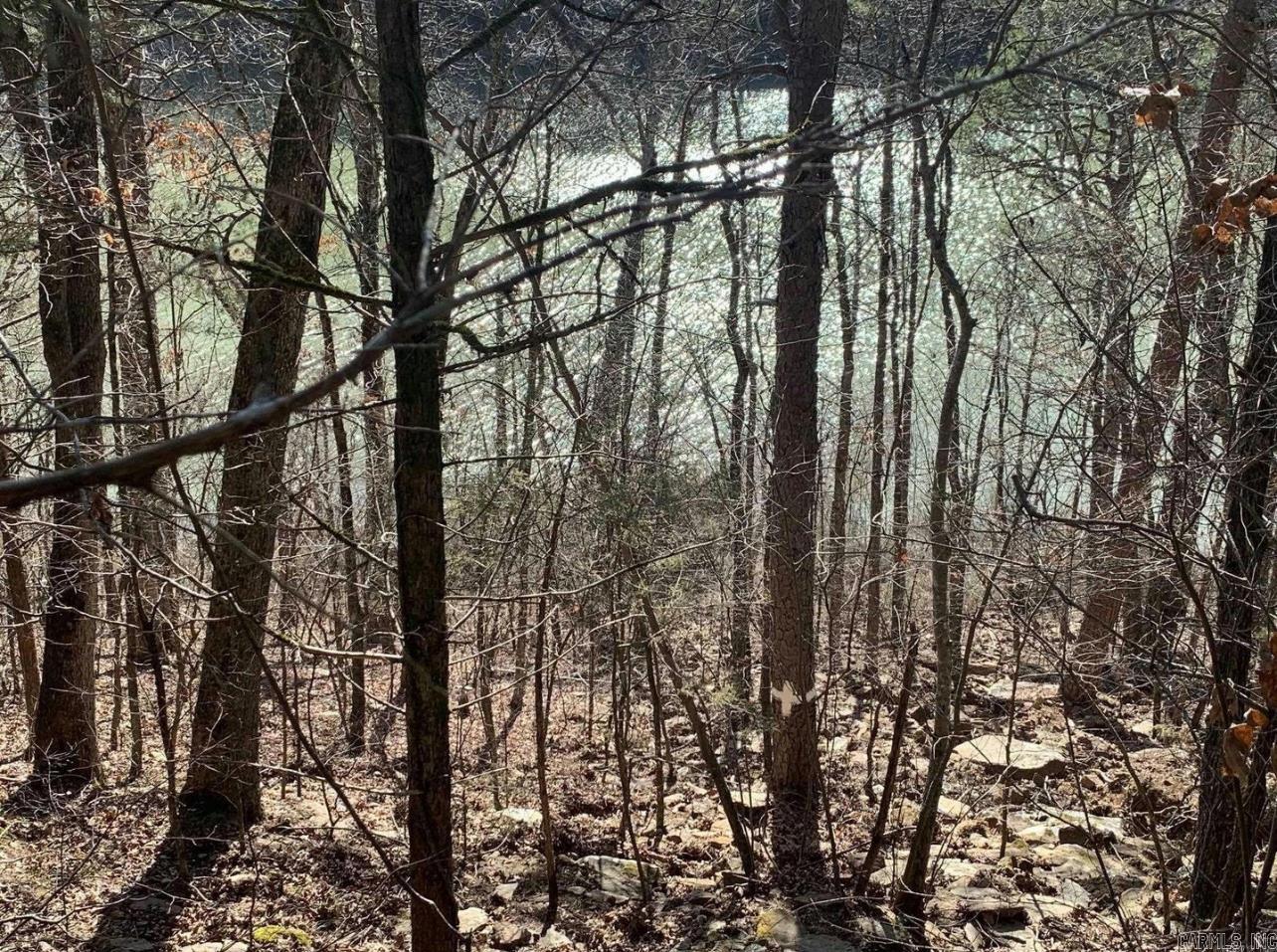 128 Lynn Creek Drive  Fairfield Bay, AR