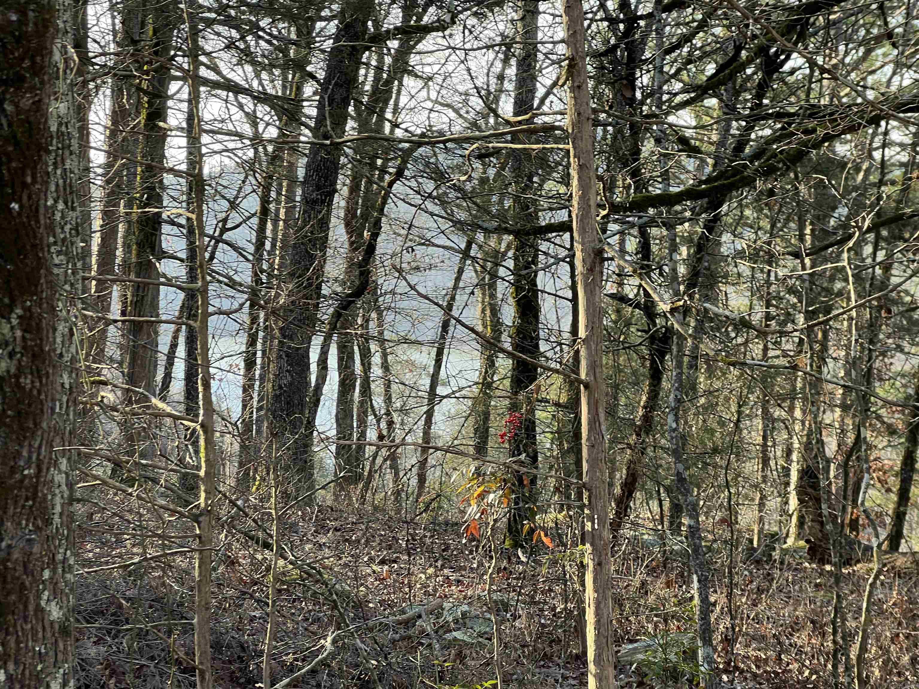 128 Lynn Creek Drive  Fairfield Bay, AR