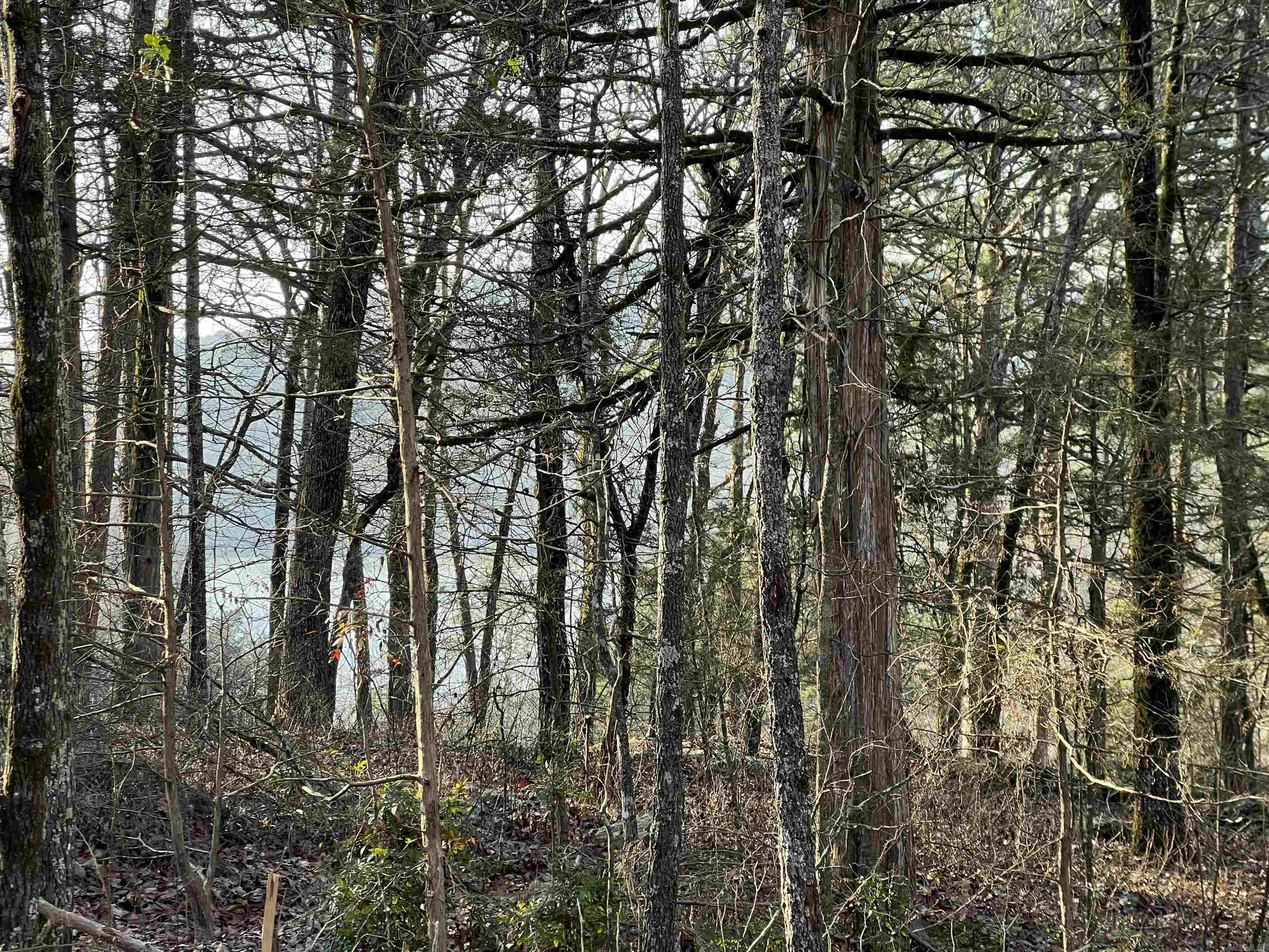 128 Lynn Creek Drive  Fairfield Bay, AR