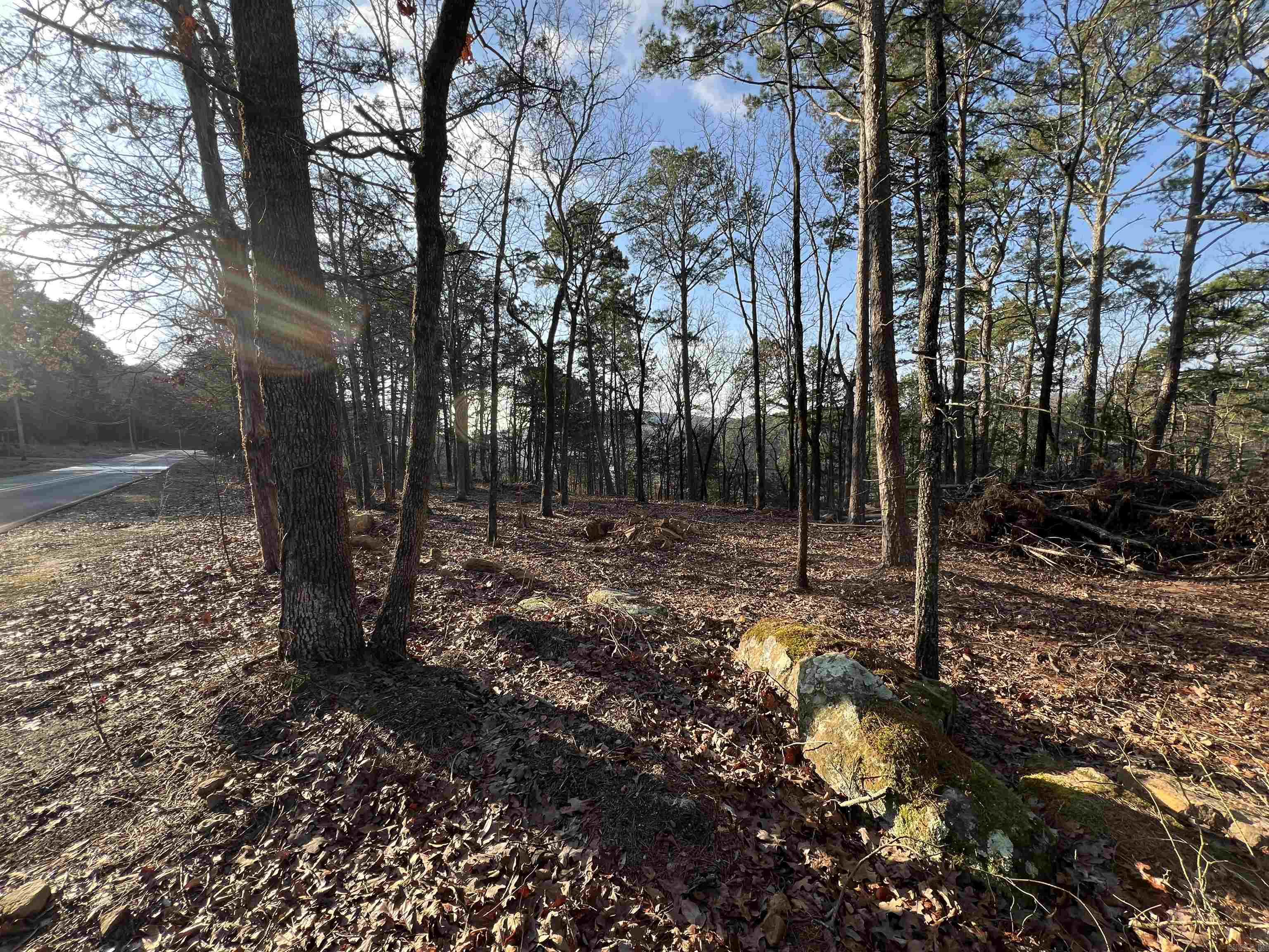 128 Lynn Creek Drive  Fairfield Bay, AR