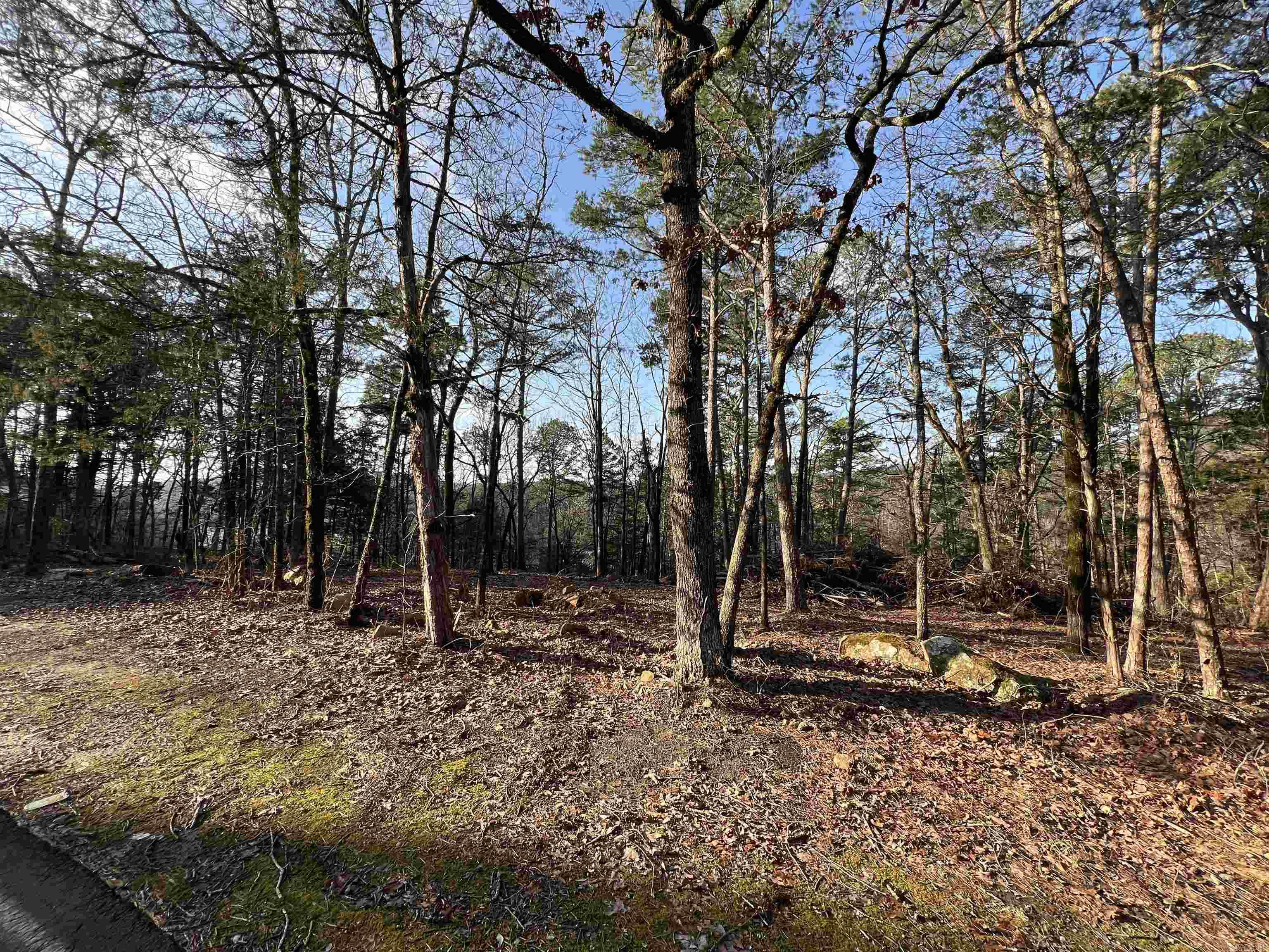 128 Lynn Creek Drive  Fairfield Bay, AR