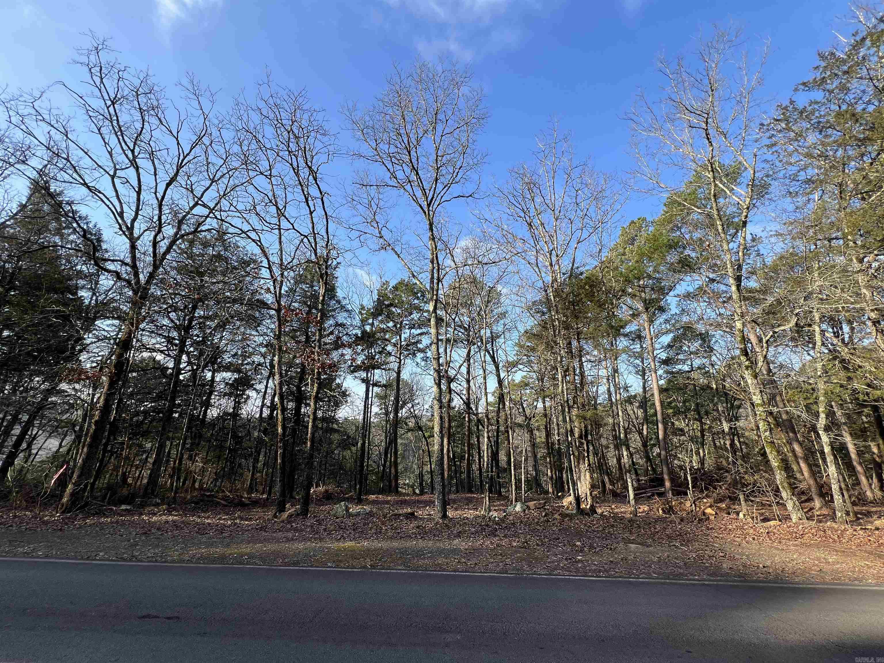 128 Lynn Creek Drive  Fairfield Bay, AR