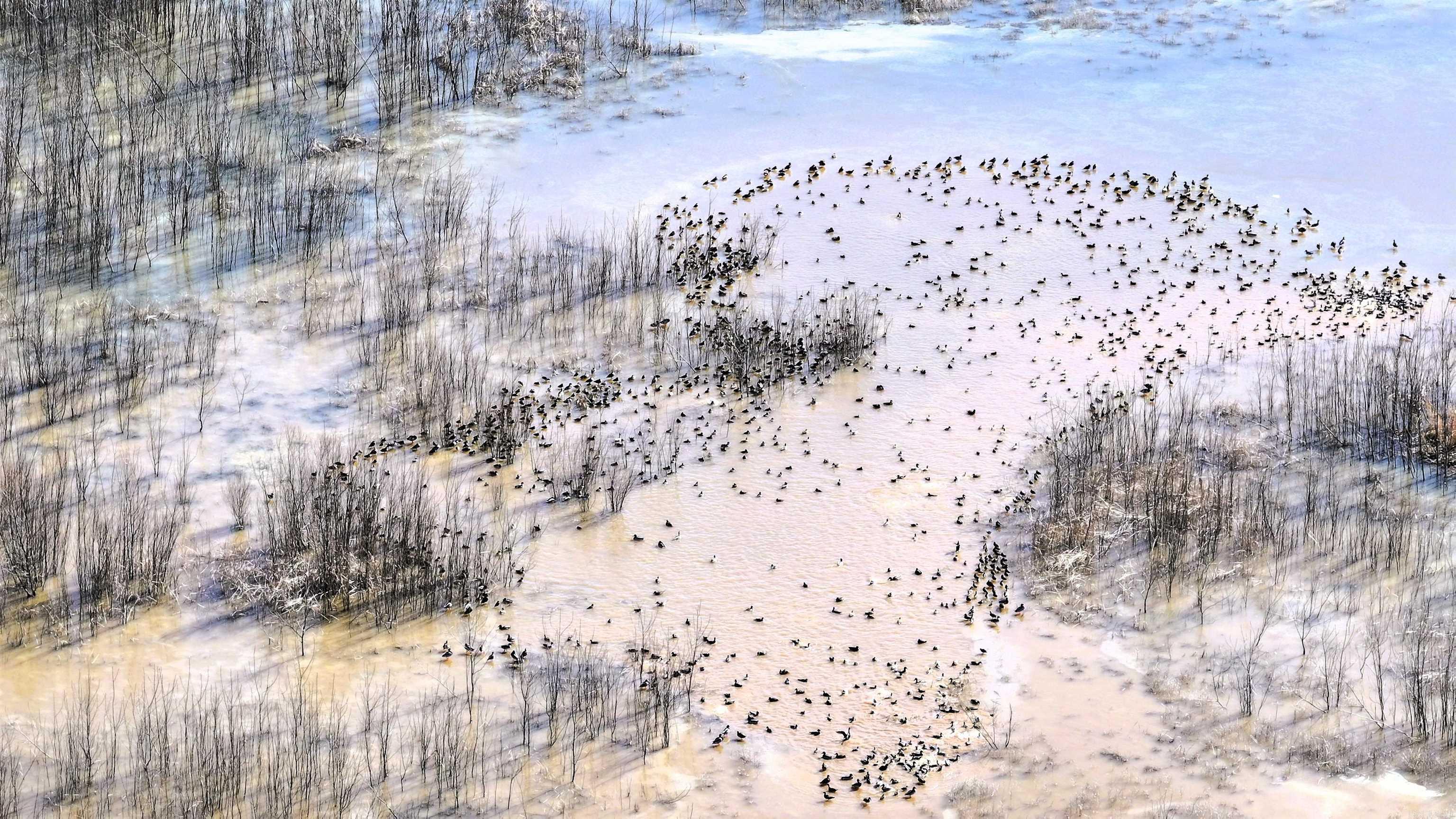 255 Adrian Mc Lane Tichnor, AR 72166