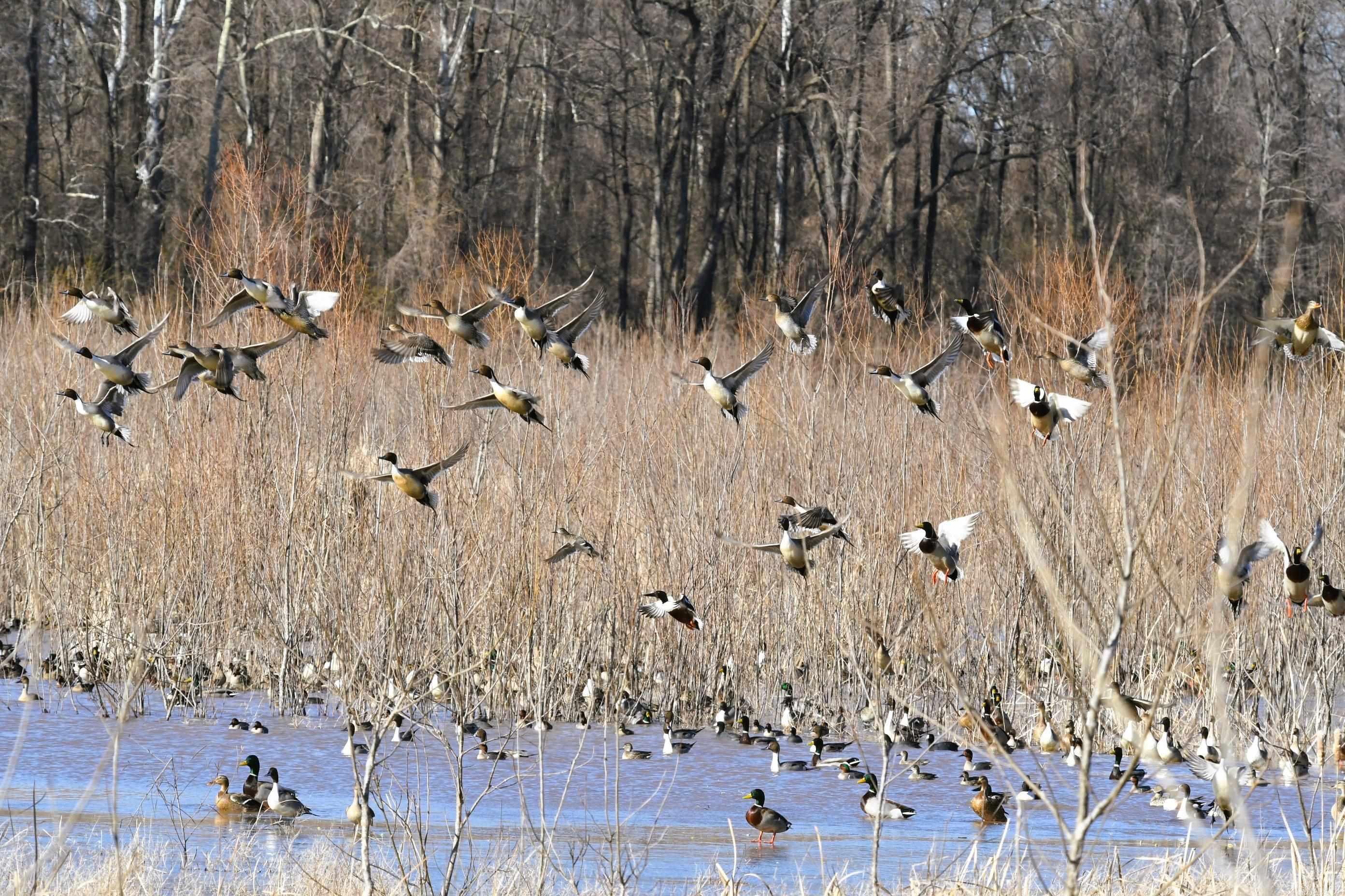 255 Adrian Mc Lane Tichnor, AR 72166