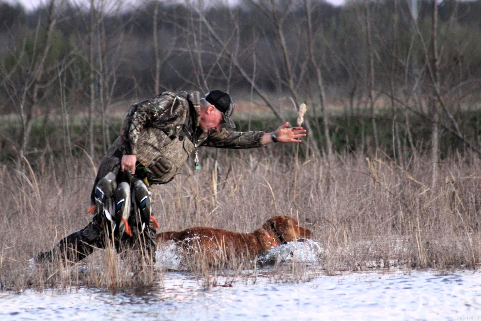 255 Adrian Mc Lane Tichnor, AR 72166