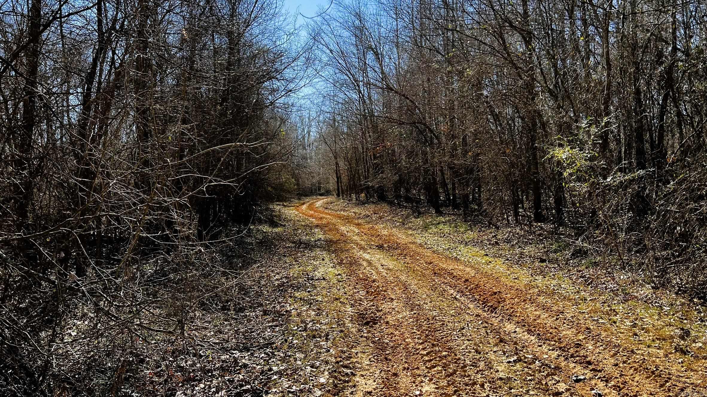 255 Adrian Mc Lane Tichnor, AR 72166