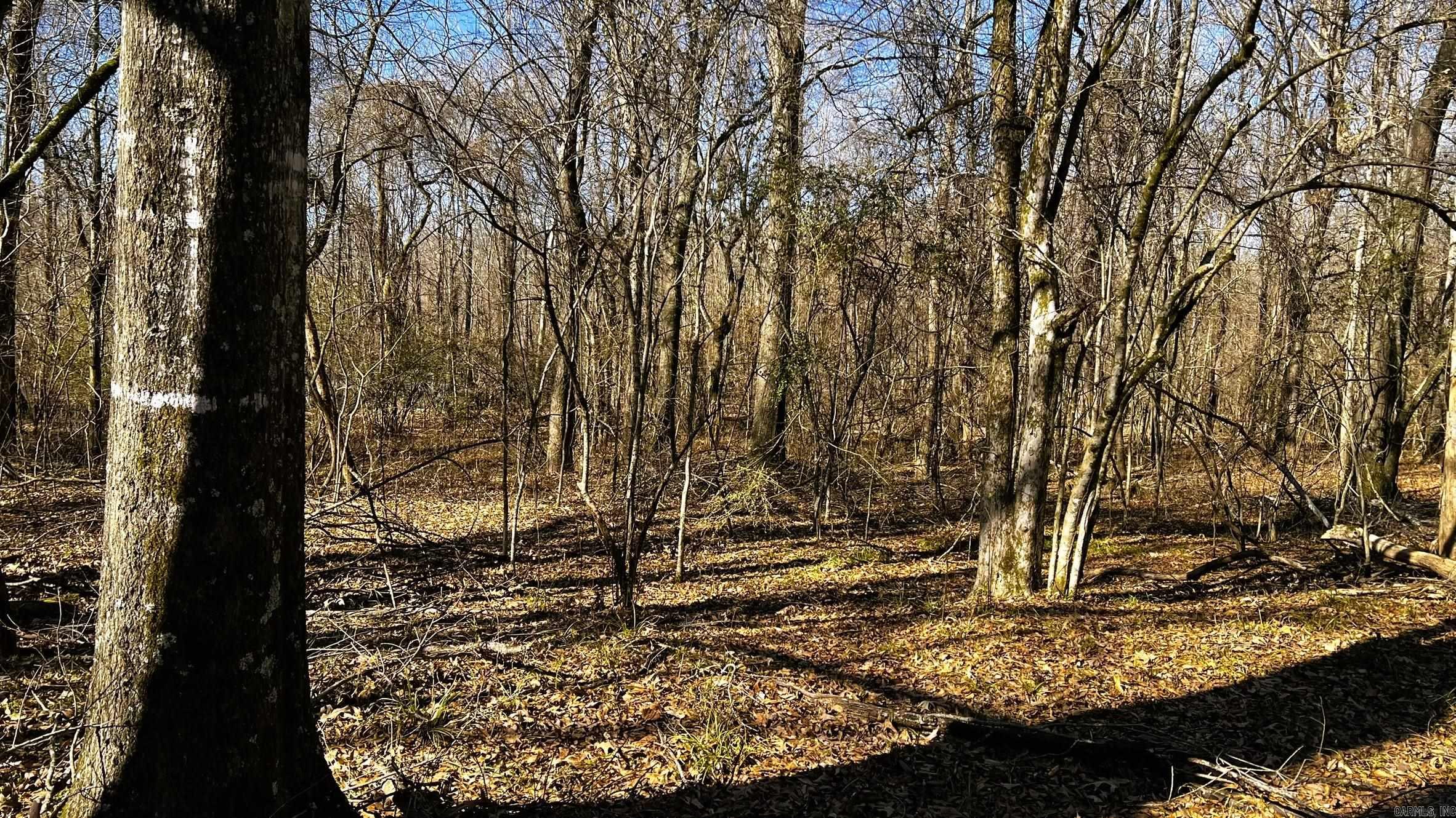 255 Adrian Mc Lane Tichnor, AR 72166