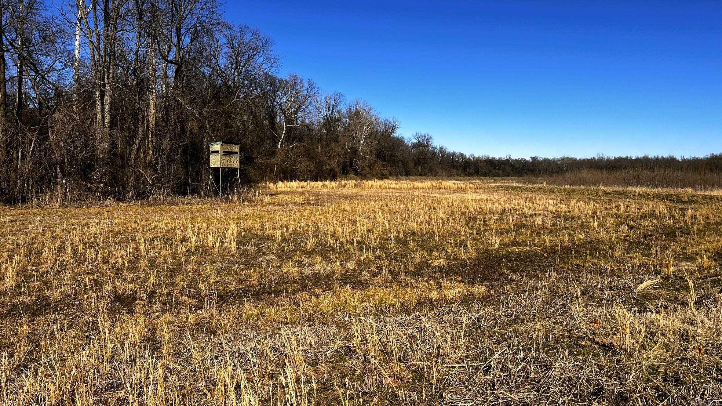 255 Adrian Mc Lane Tichnor, AR 72166