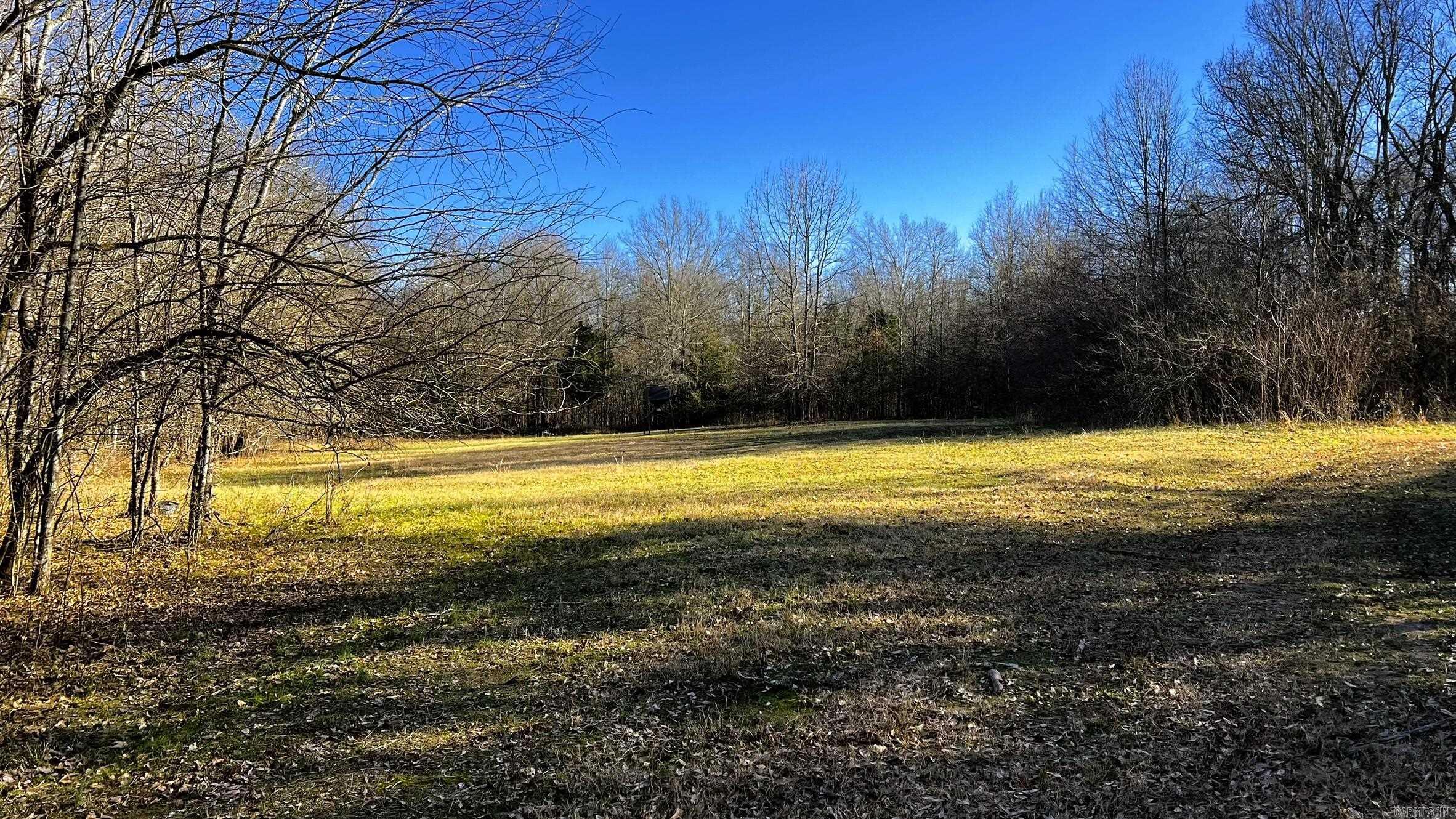 255 Adrian Mc Lane Tichnor, AR 72166