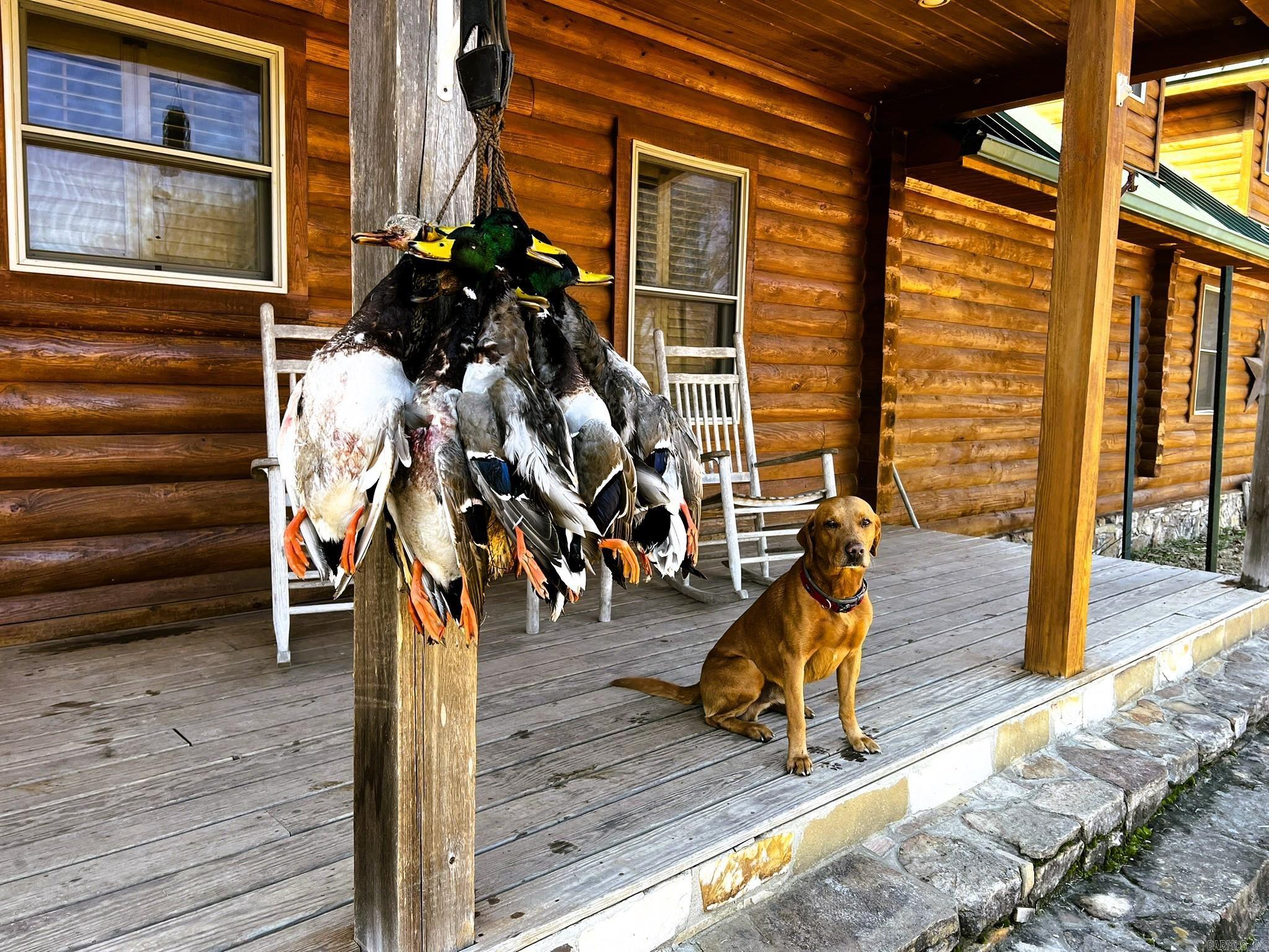 255 Adrian Mc Lane Tichnor, AR 72166