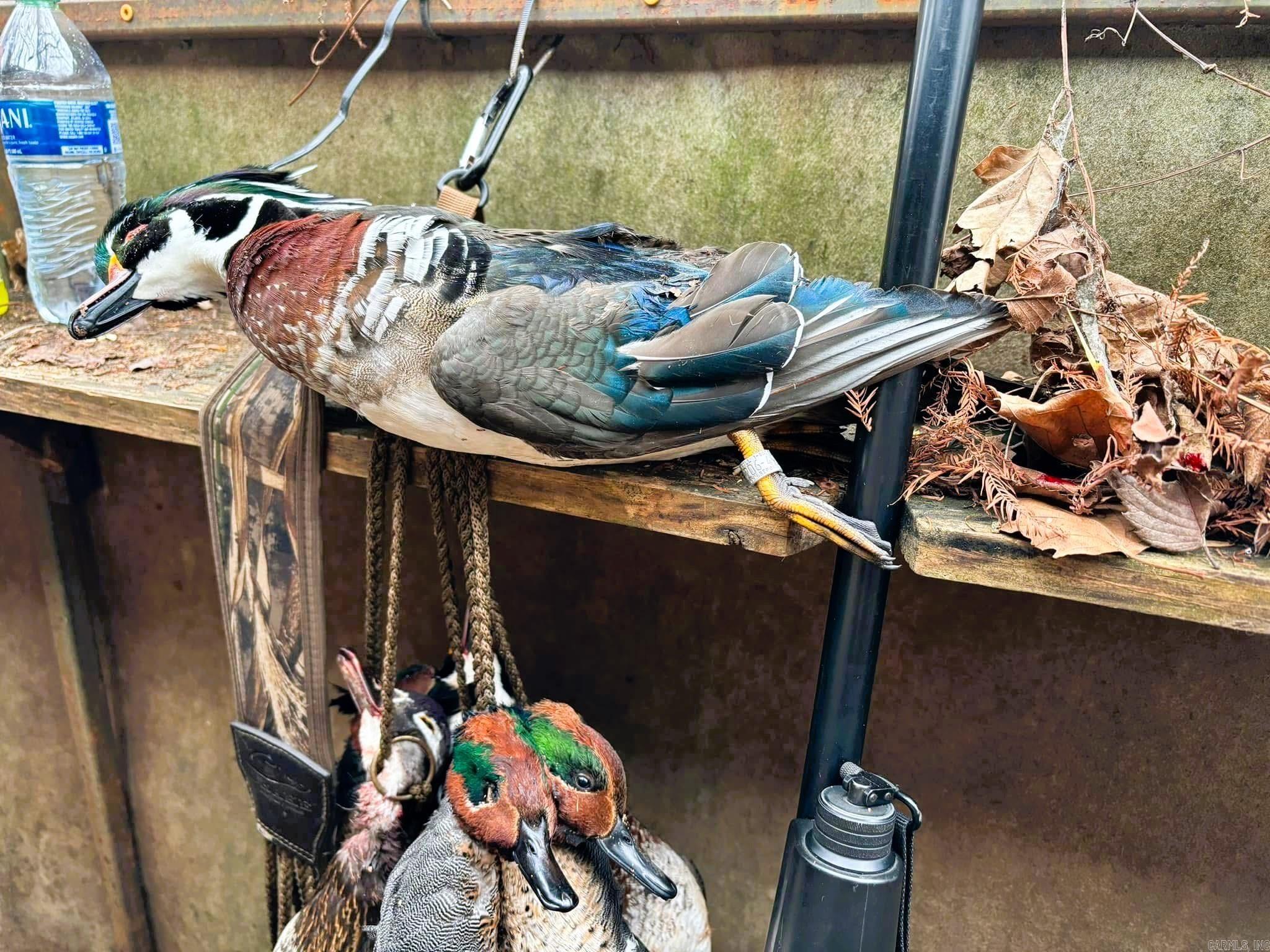 255 Adrian Mc Lane Tichnor, AR 72166