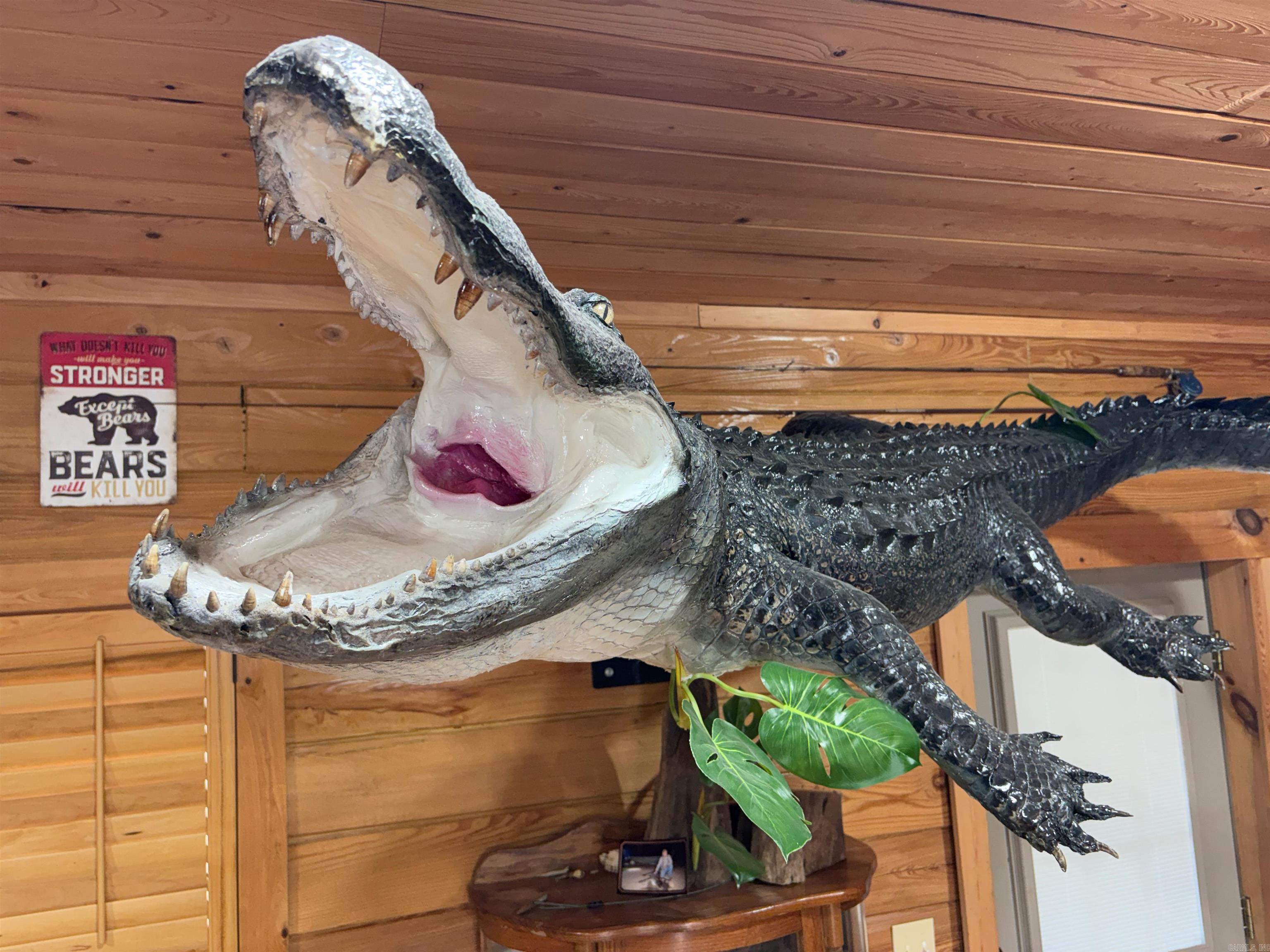 255 Adrian Mc Lane Tichnor, AR 72166