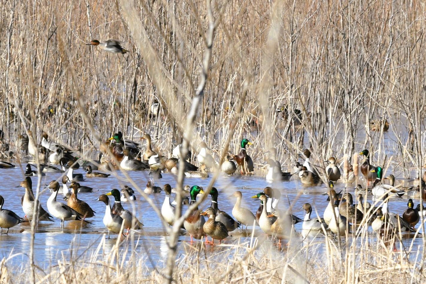 255 Adrian Mc Lane Tichnor, AR 72166