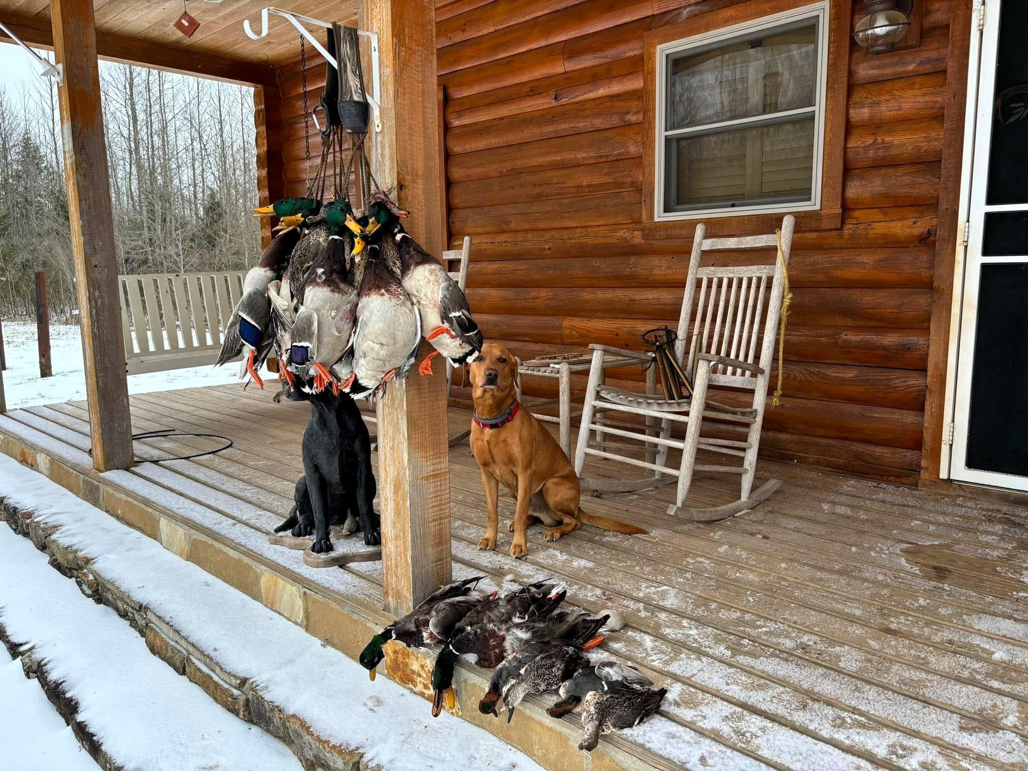 255 Adrian Mc Lane Tichnor, AR 72166