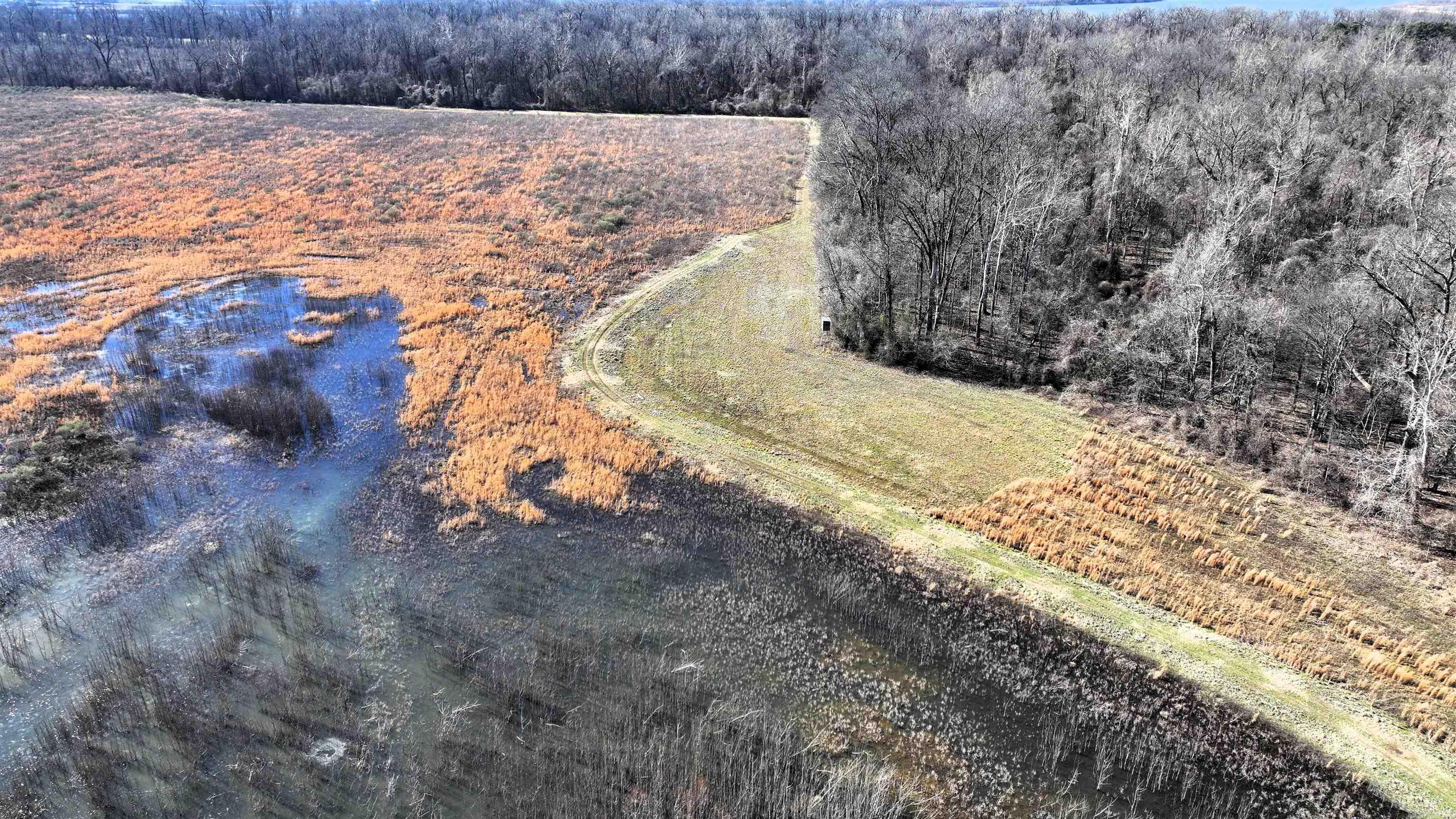 255 Adrian Mc Lane Tichnor, AR 72166