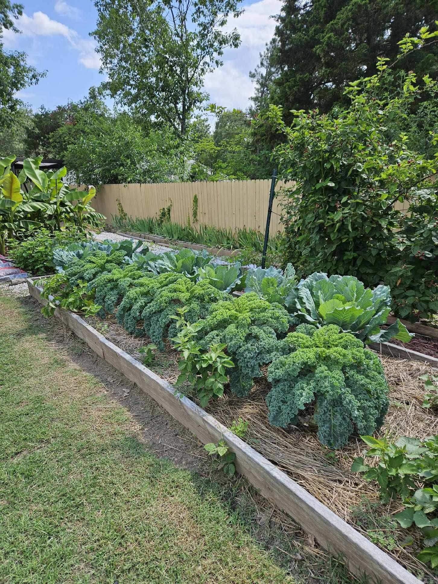 244 Northpointe Dr  Mountain Home, AR