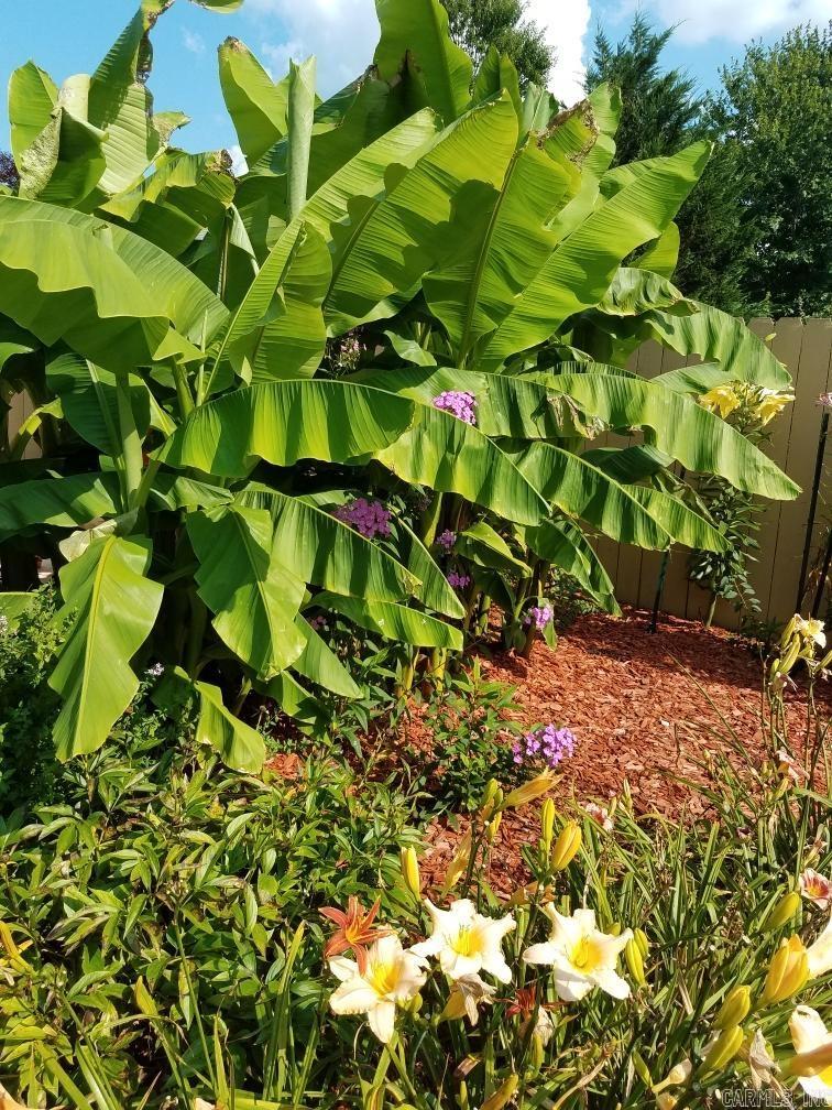 244 Northpointe Dr  Mountain Home, AR