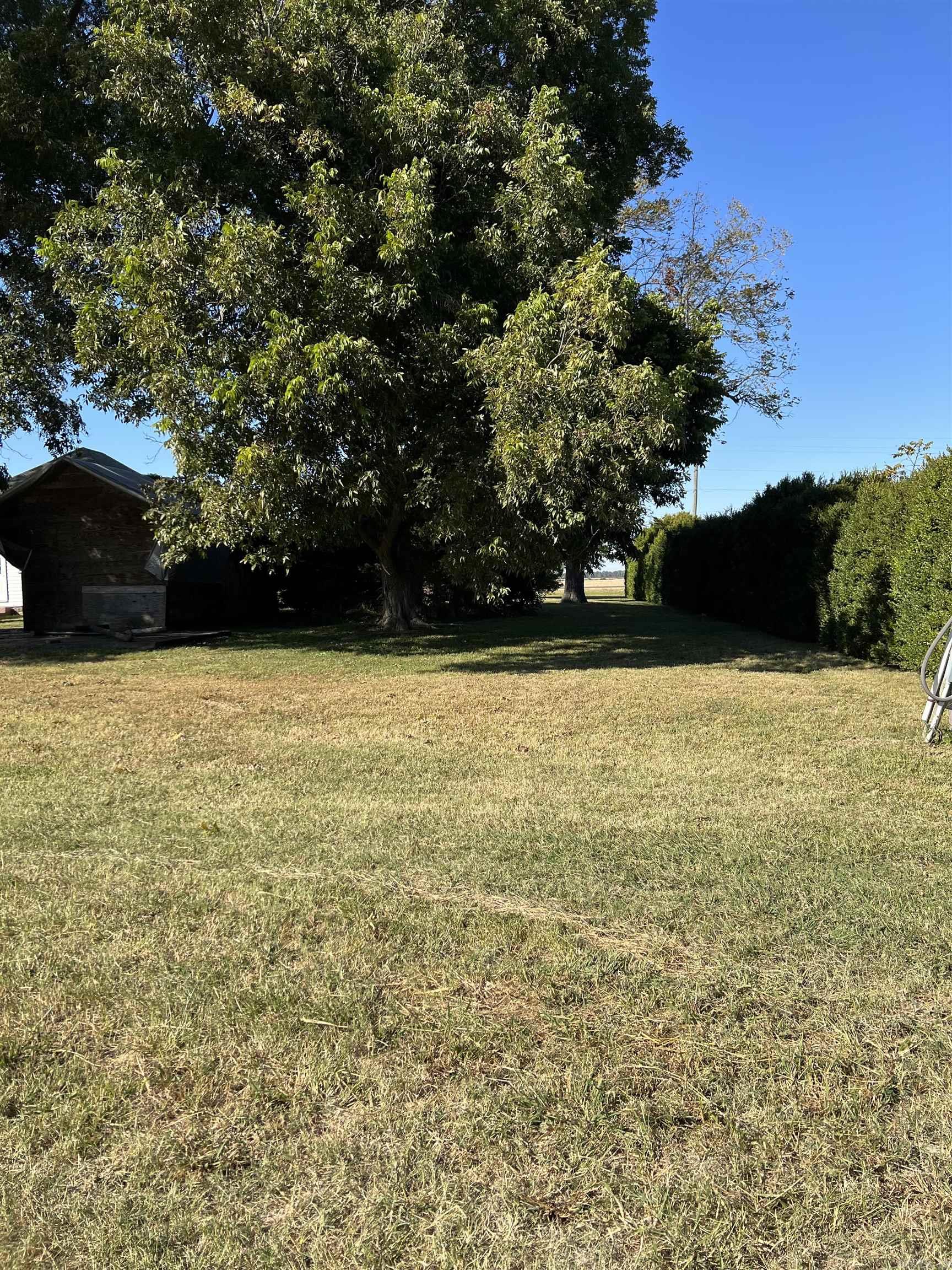 1577 E Main St  Piggott, AR