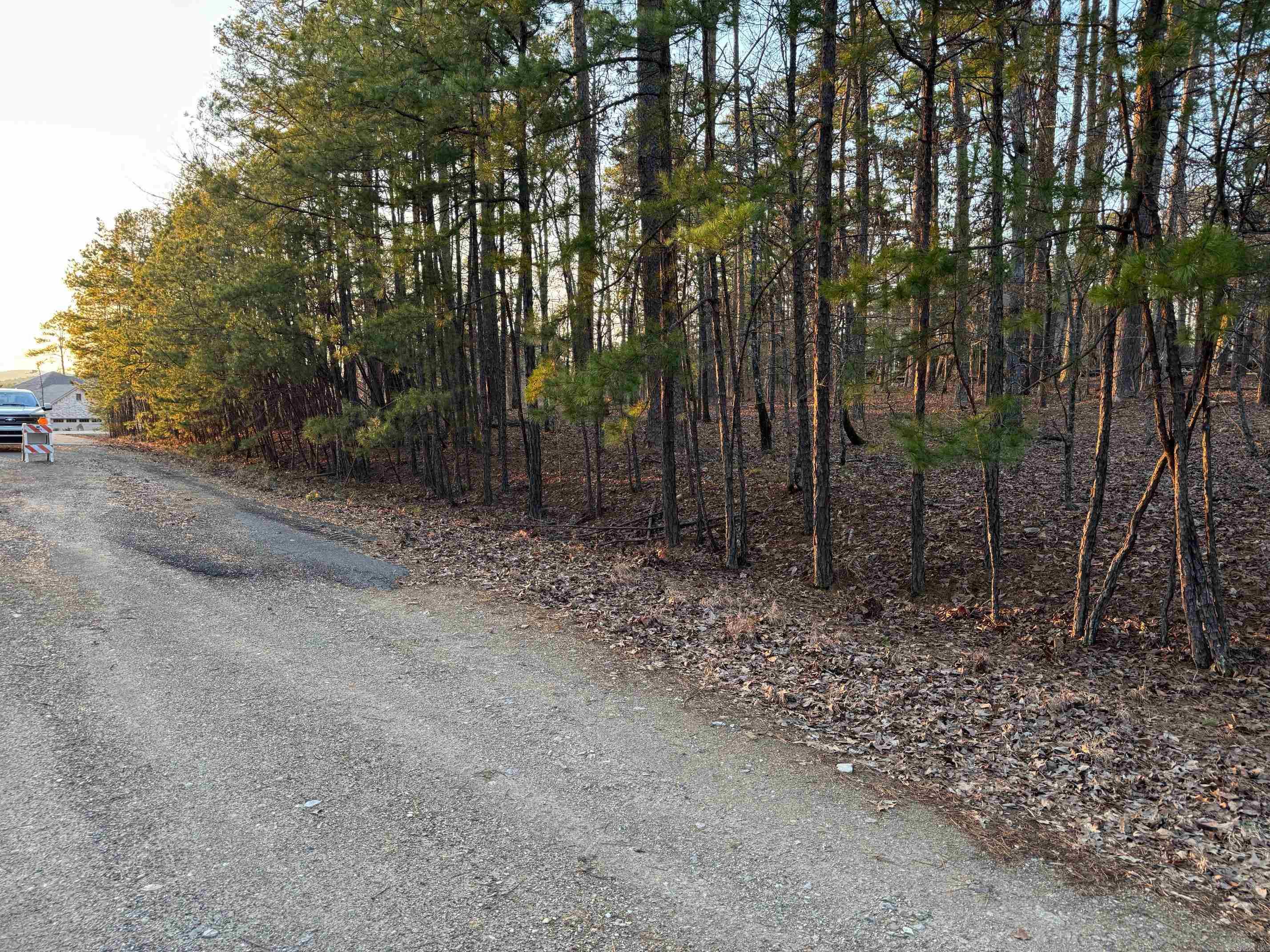 45 JAGUAR WAY  Hot Springs Village, AR