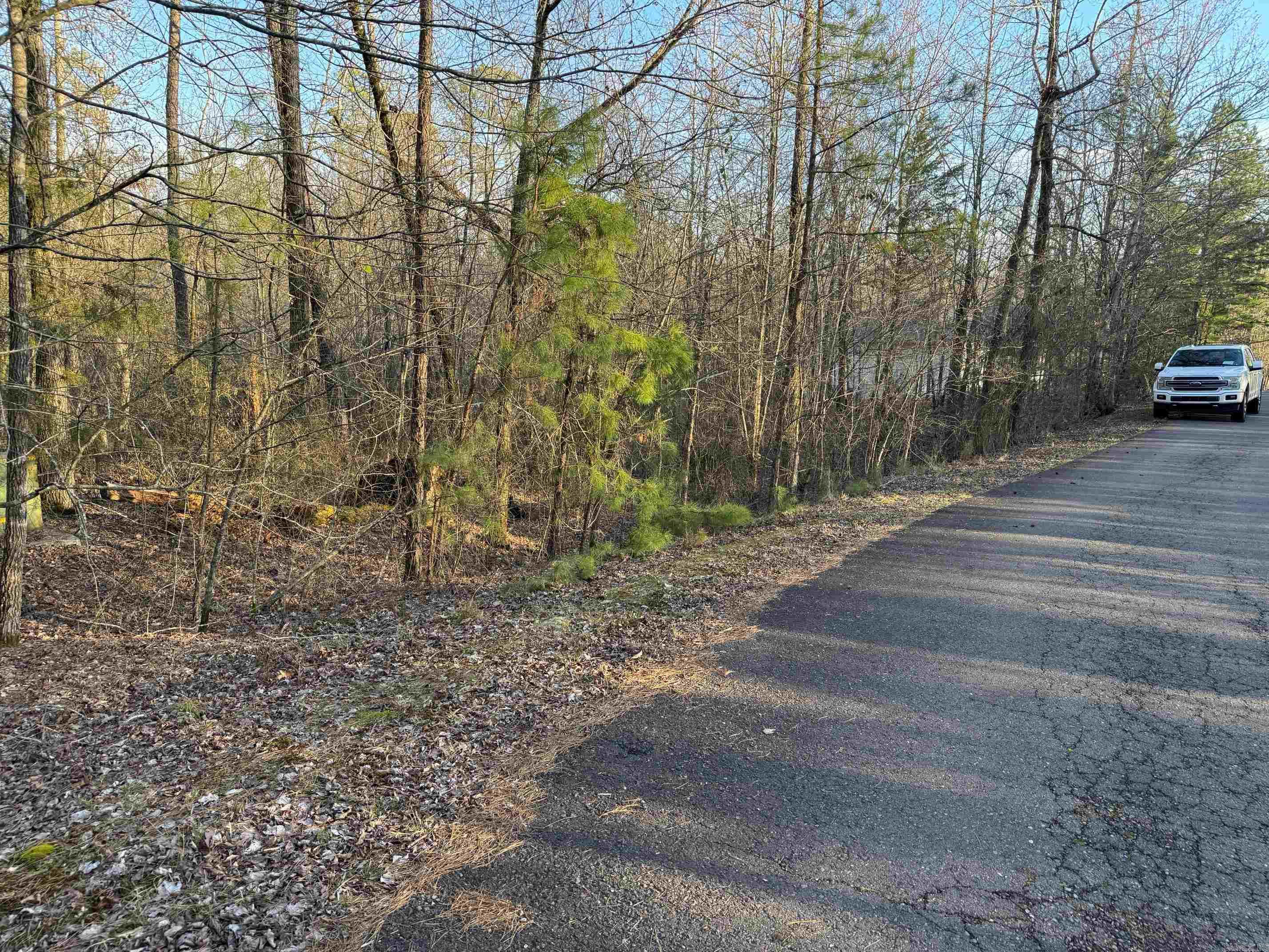 7 ANDORRA LANE  Hot Springs Village, AR