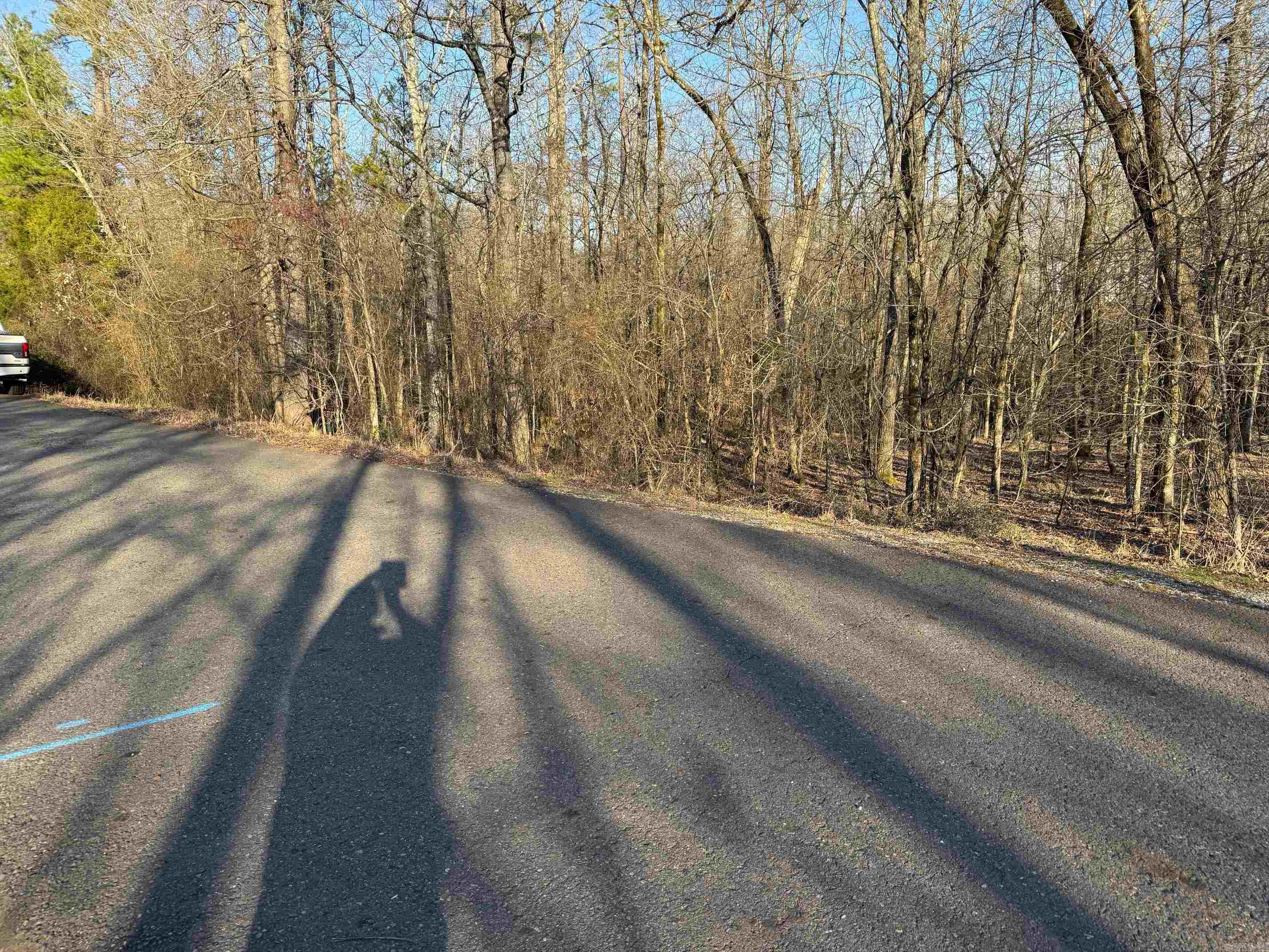 21 ANDORRA LANE  Hot Springs Village, AR