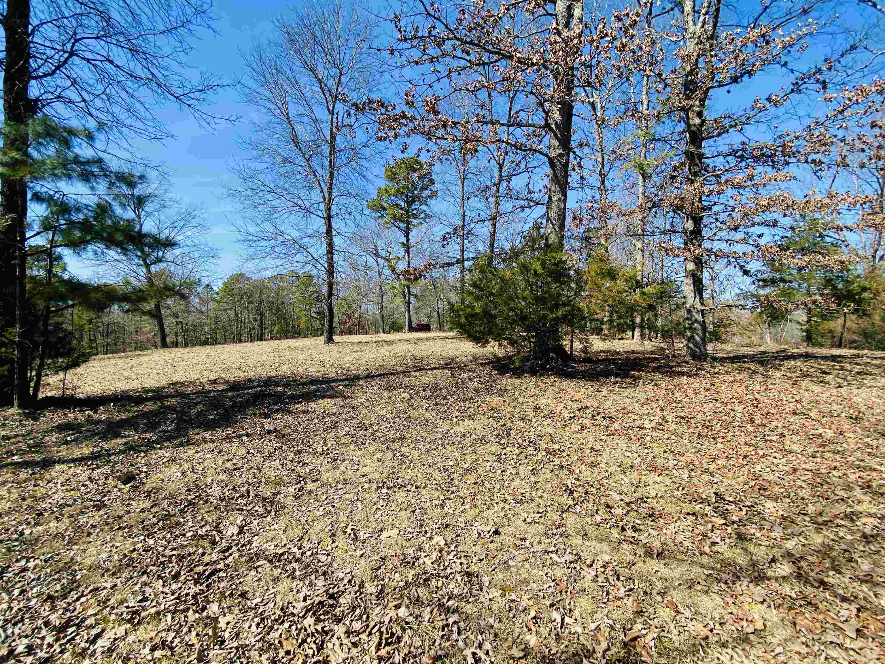 Lots 6,7,8 River Bend Ridge  Calico Rock, AR