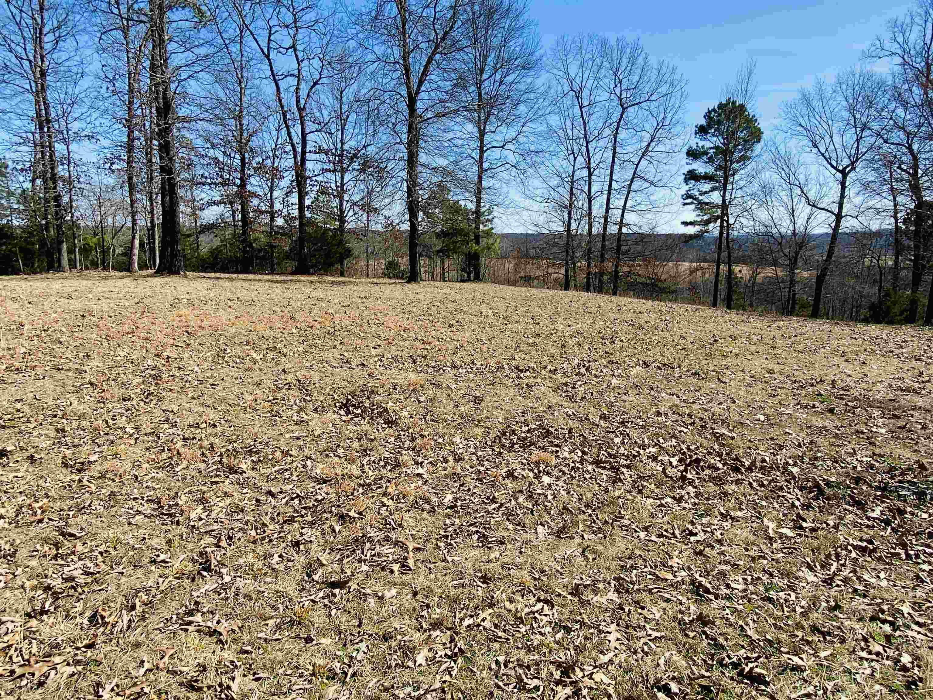 Lots 6,7,8 River Bend Ridge  Calico Rock, AR