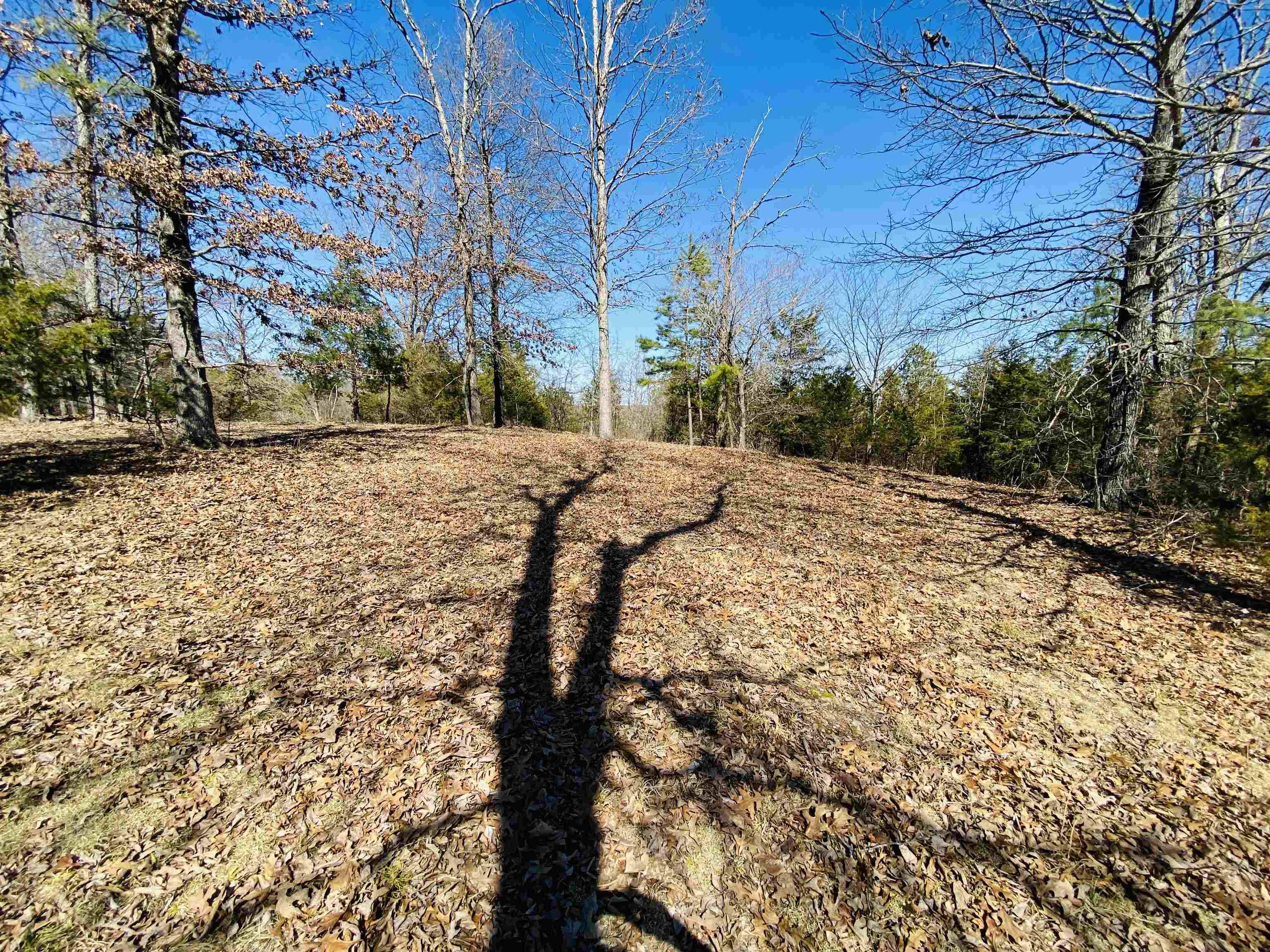 Lots 6,7,8 River Bend Ridge  Calico Rock, AR